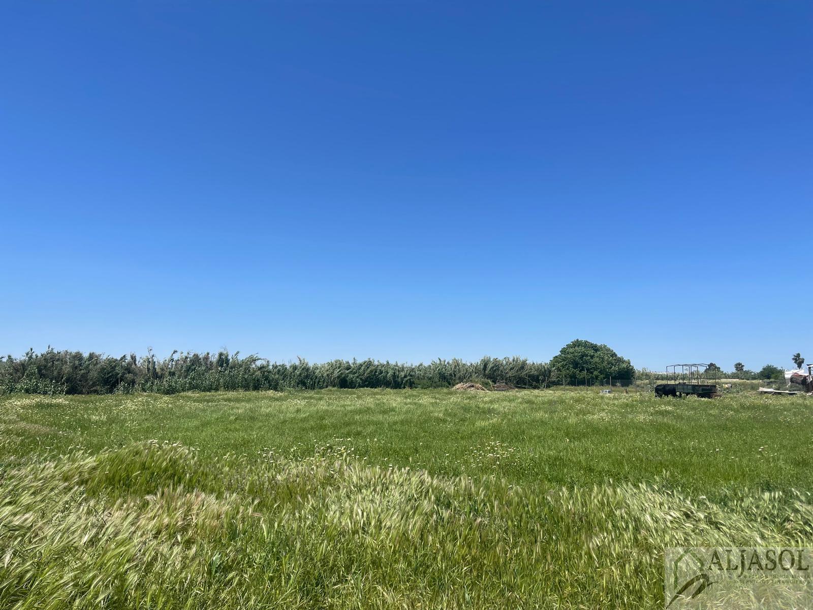 Venta de finca rústica en Salteras