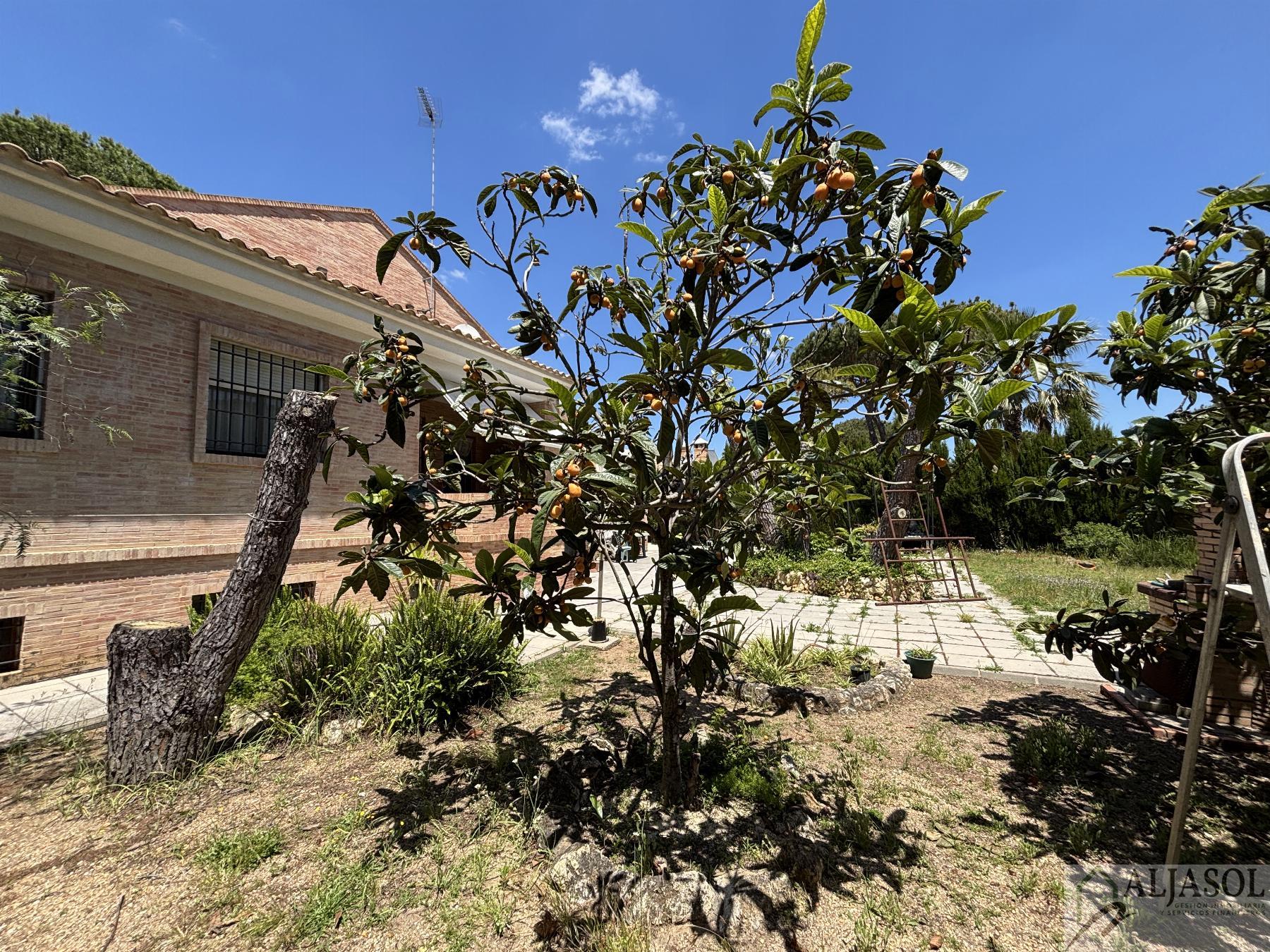 For sale of chalet in Aljaraque