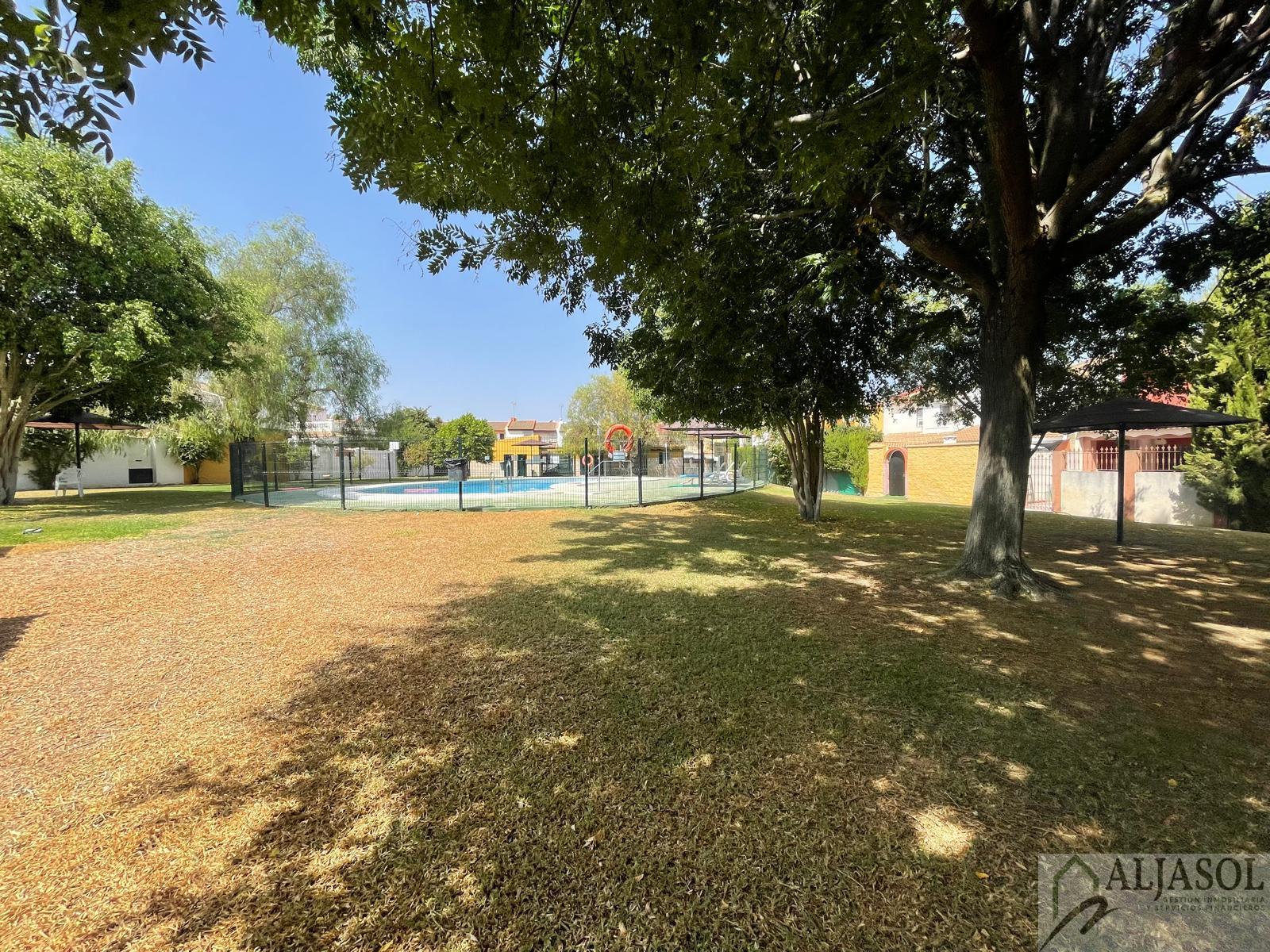 Venta de casa en Villanueva del Ariscal Venta de casa en Villanueva del Ariscal