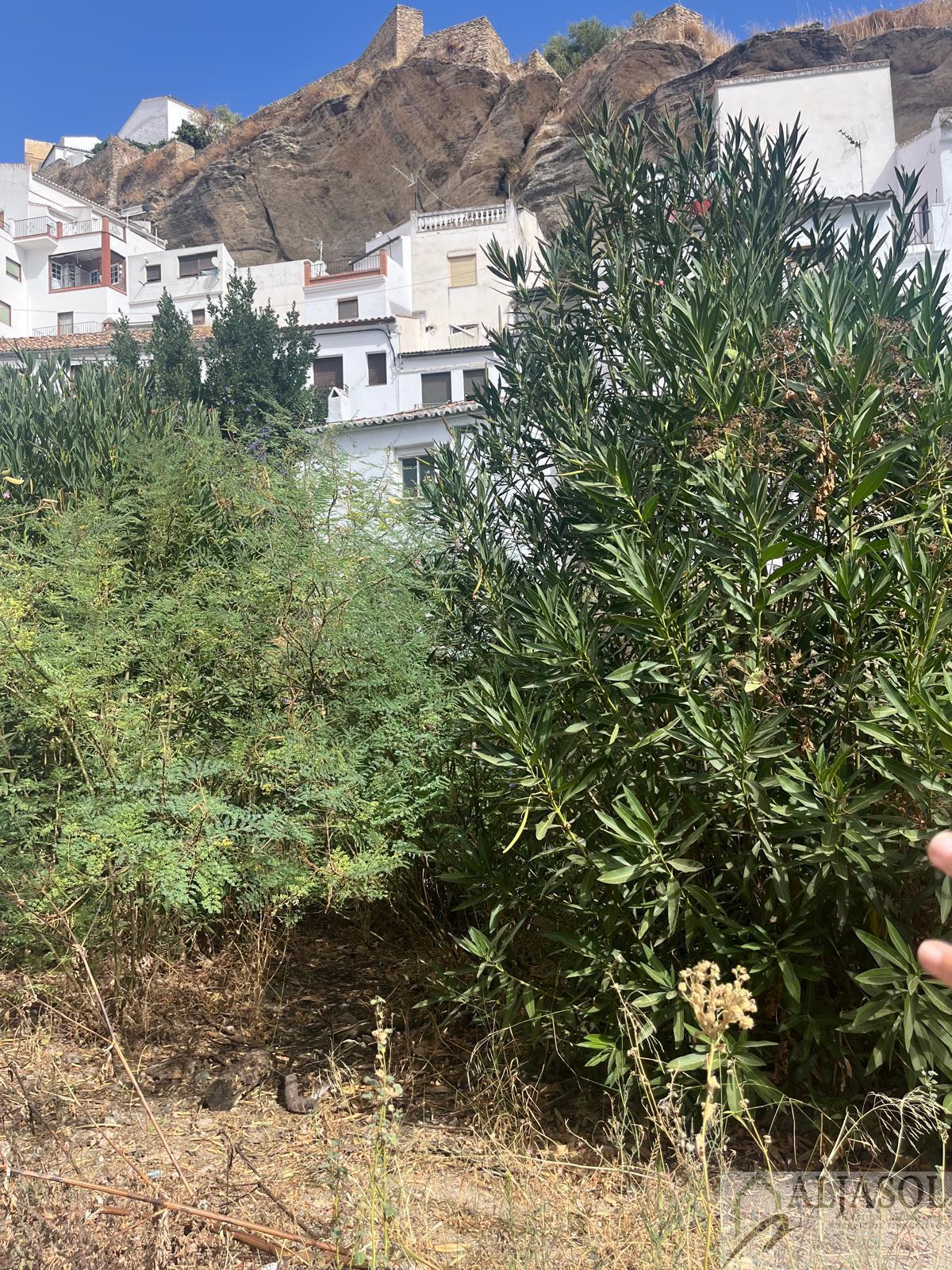 Venta de casa en Setenil de las Bodegas