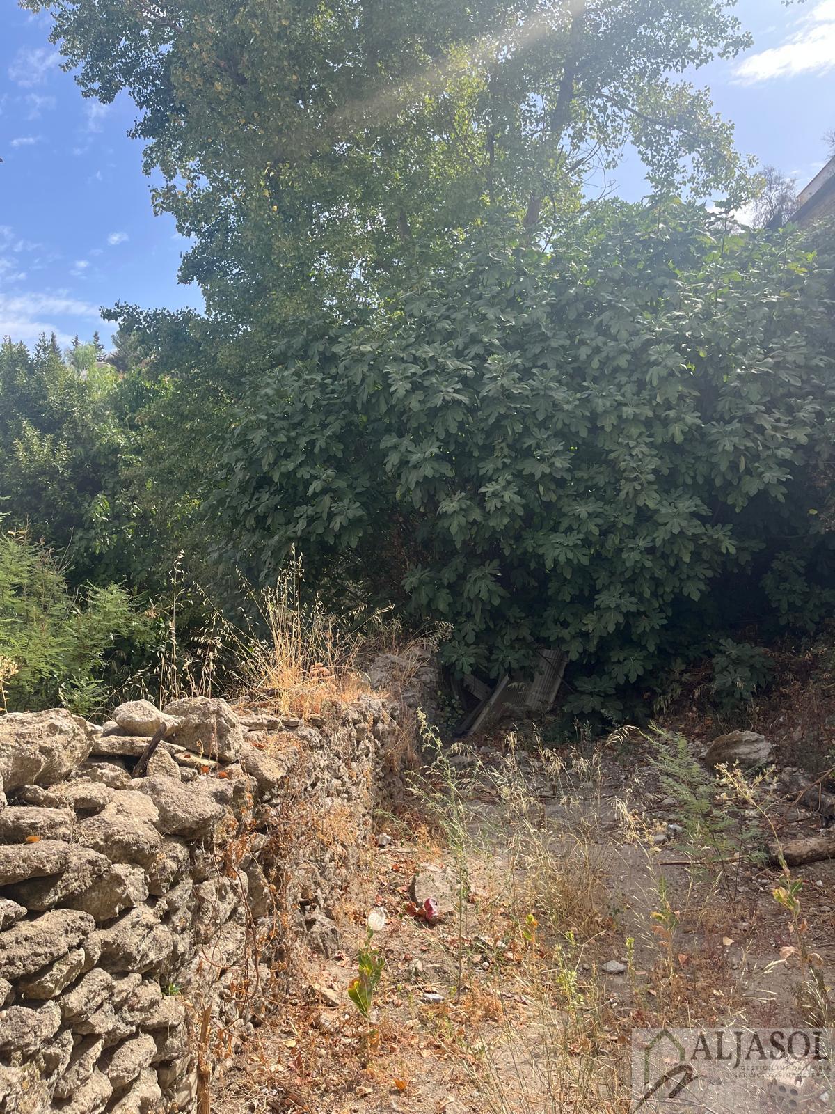 Venta de casa en Setenil de las Bodegas