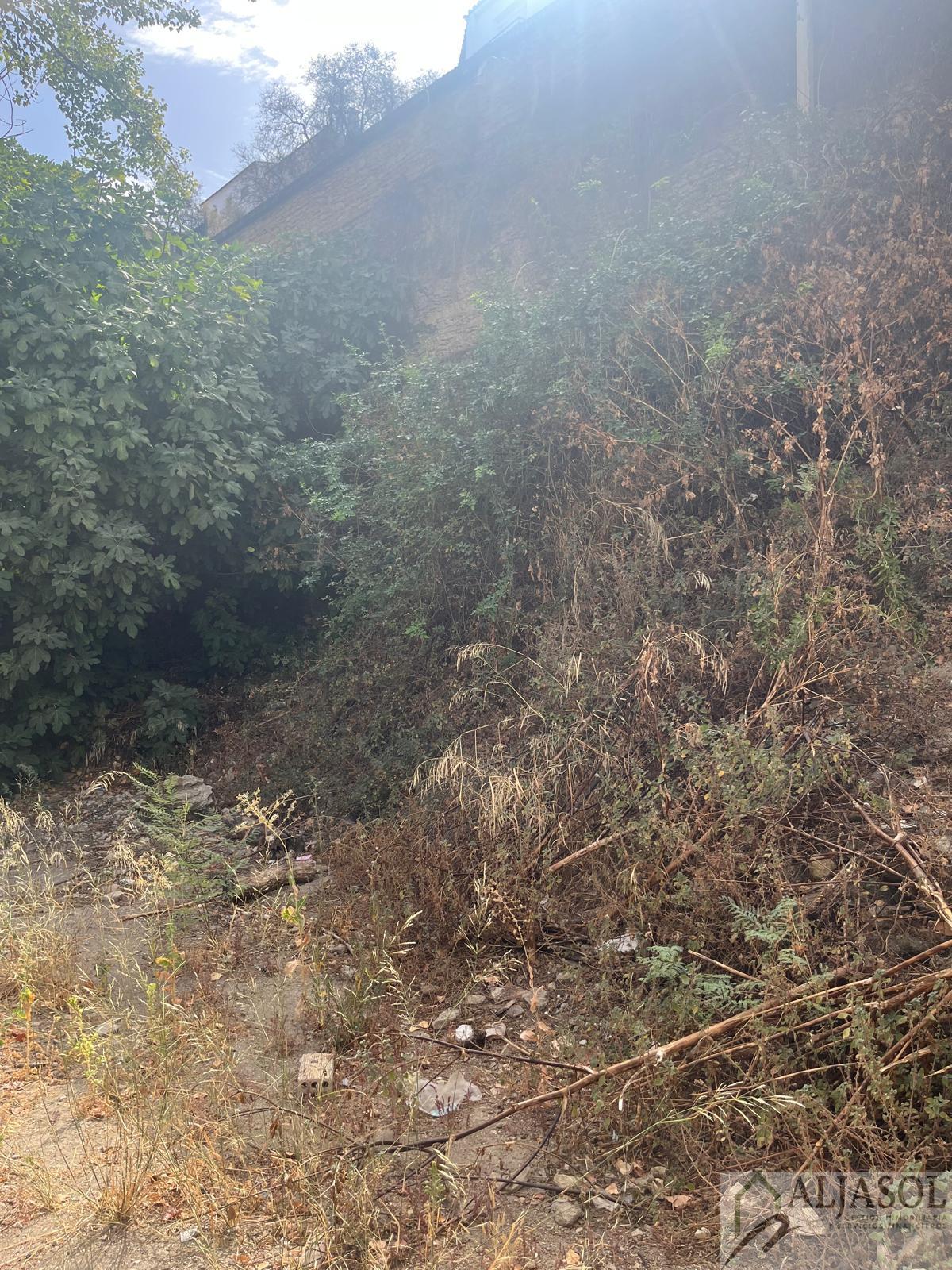 Venta de casa en Setenil de las Bodegas