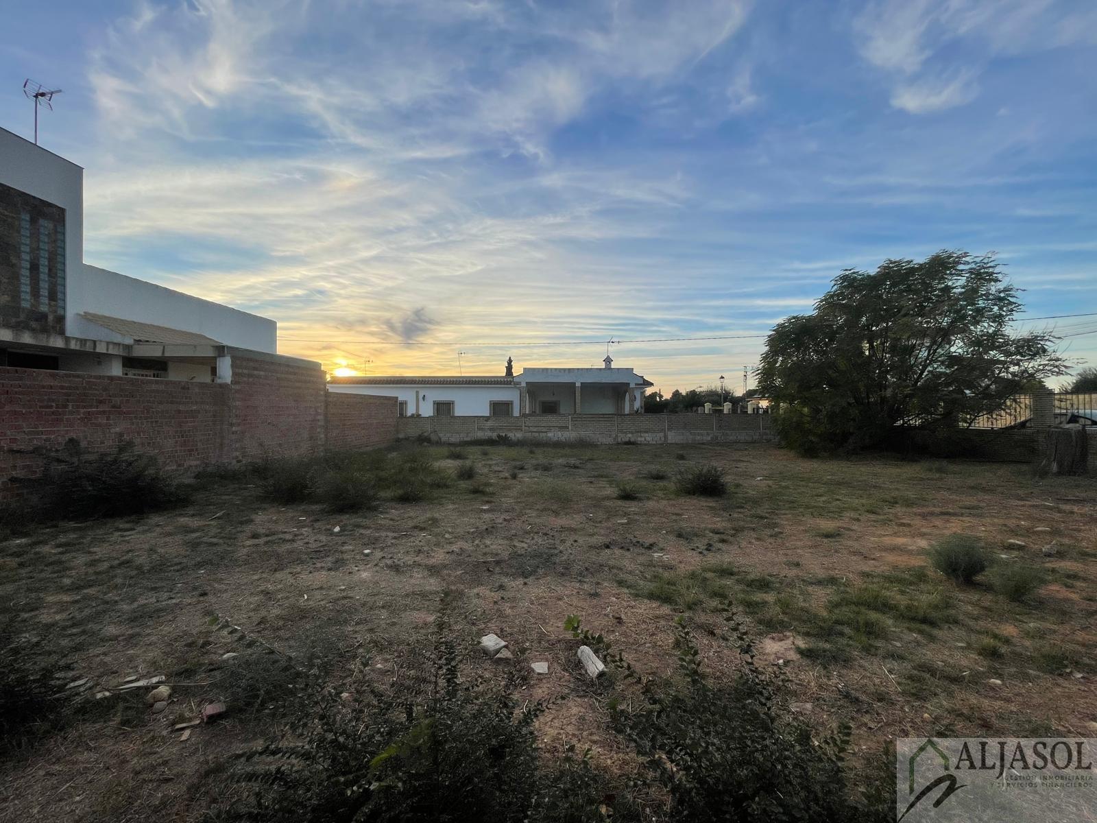 Venta de terreno en Palomares del Río Venta de terreno en Palomares del Río