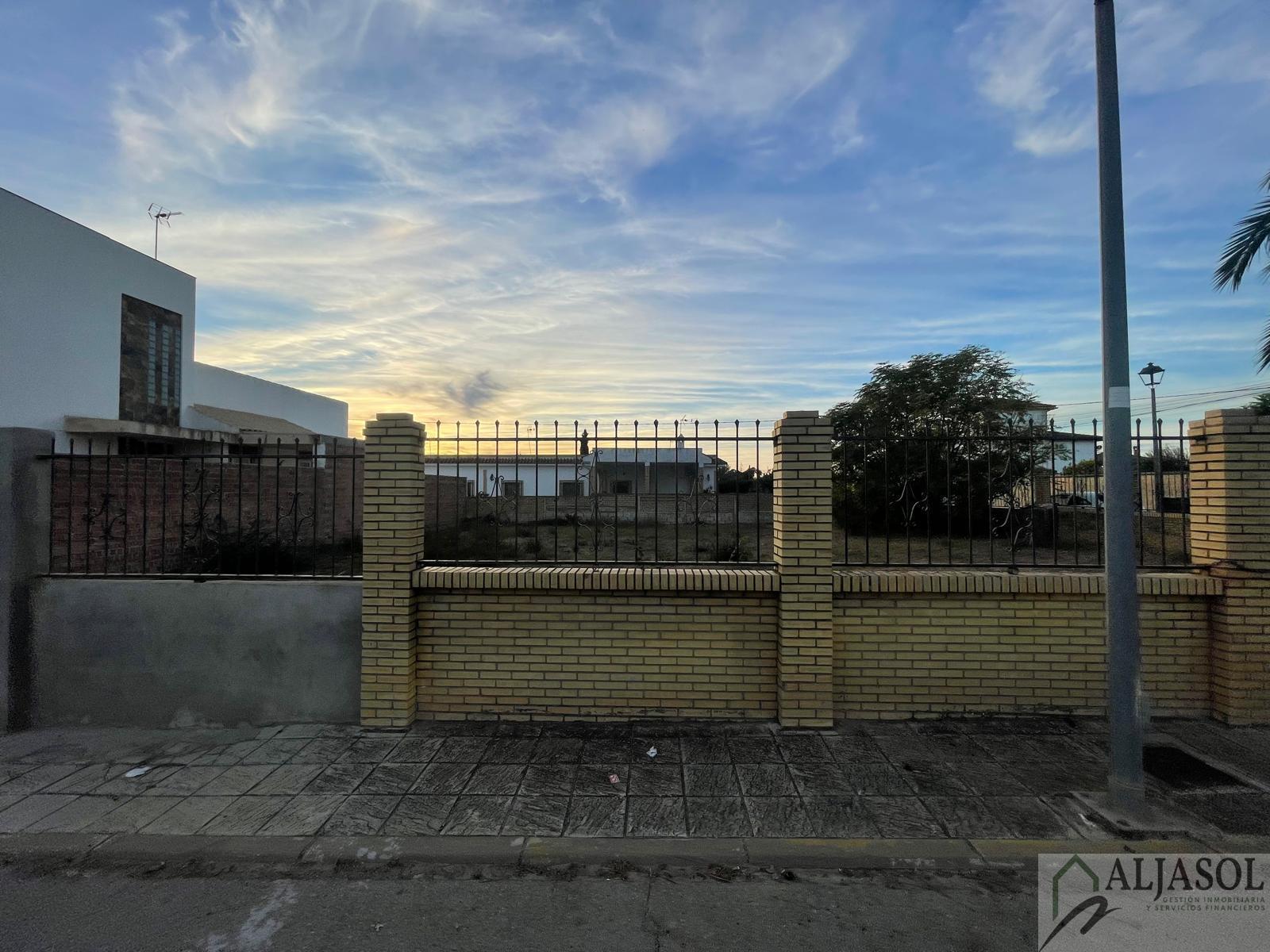 Venta de terreno en Palomares del Río Venta de terreno en Palomares del Río