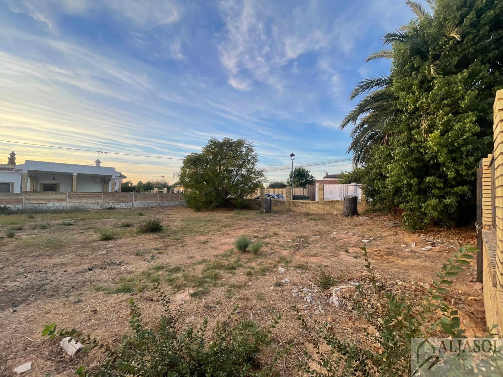 Venta de terreno en Palomares del Río Venta de terreno en Palomares del Río