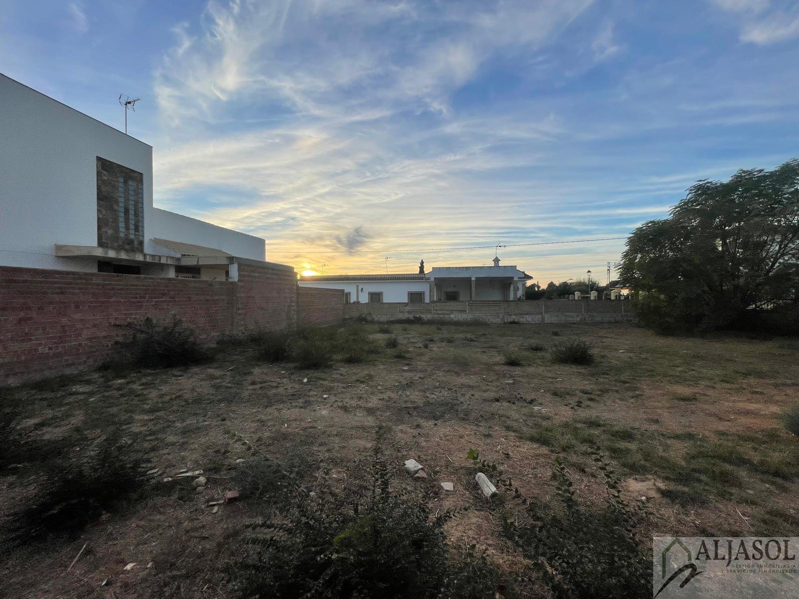 Venta de terreno en Palomares del Río Venta de terreno en Palomares del Río