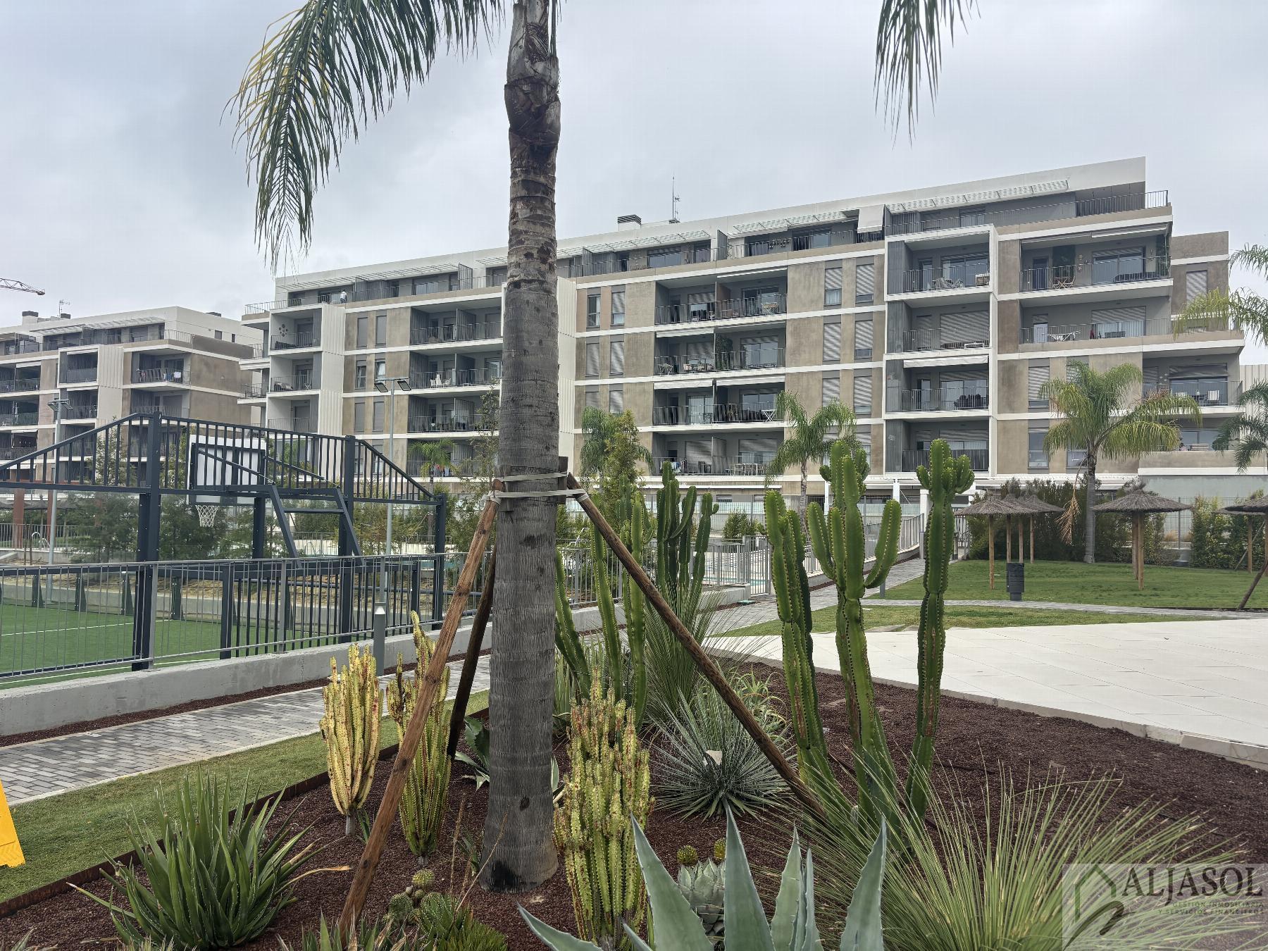 Venta de piso en Mairena del Aljarafe Venta de piso en Mairena del Aljarafe