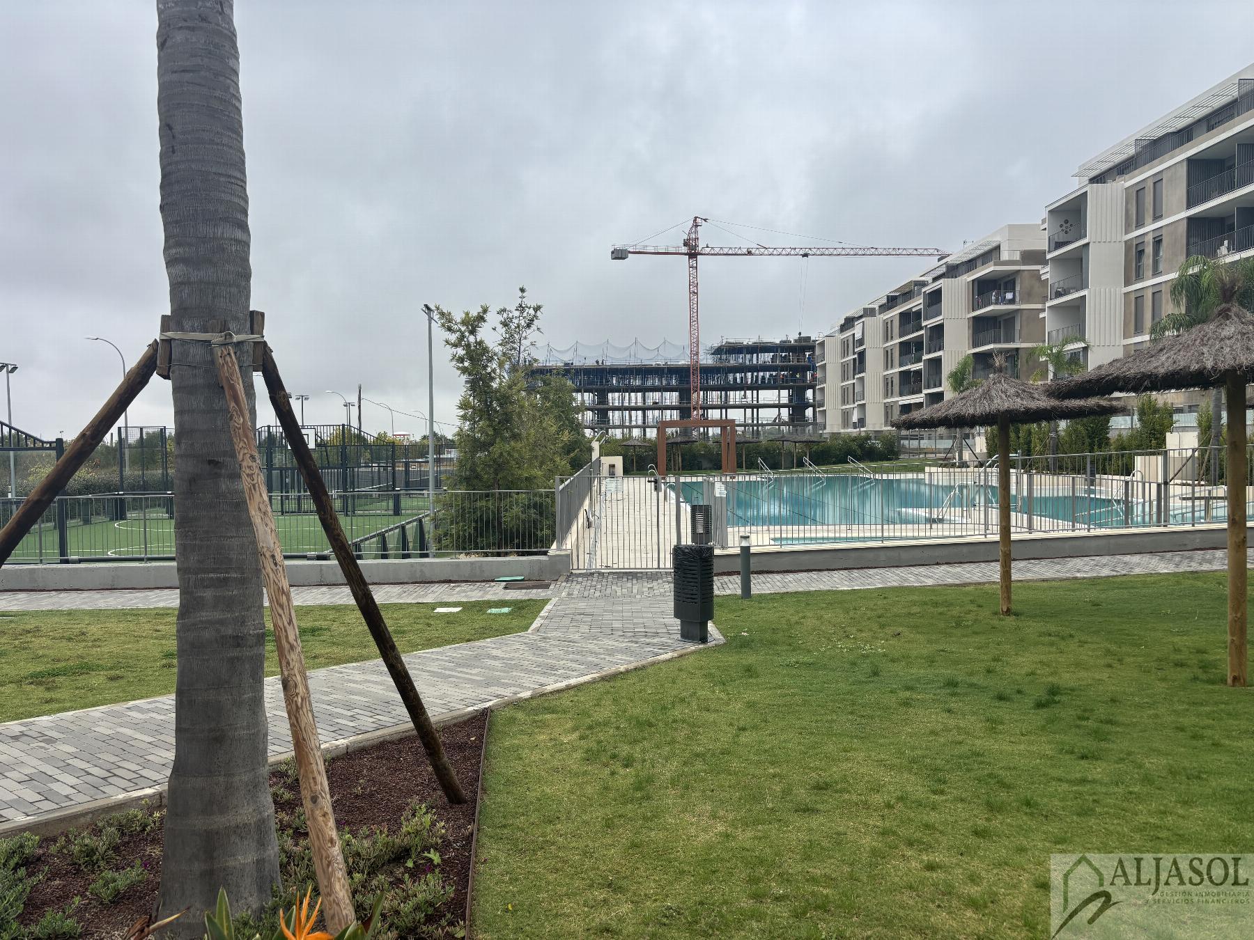 Venta de piso en Mairena del Aljarafe Venta de piso en Mairena del Aljarafe