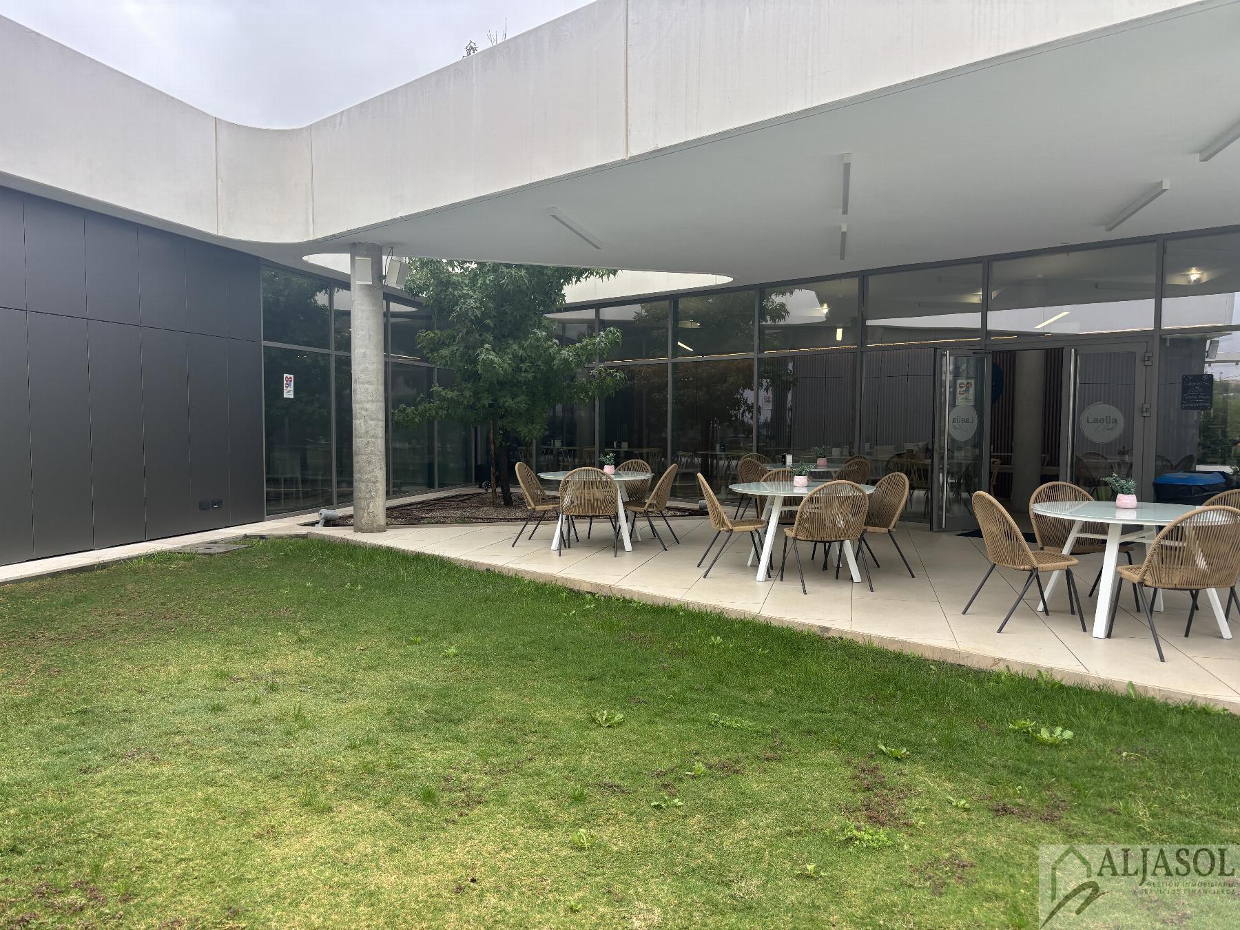 Venta de piso en Mairena del Aljarafe Venta de piso en Mairena del Aljarafe