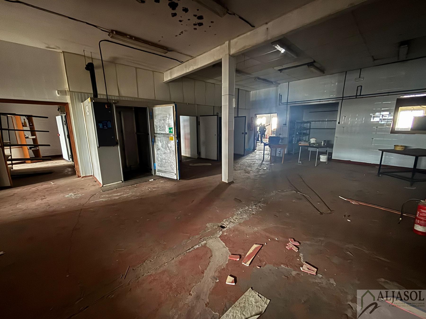 Venta de nave en Bollullos de la Mitación Venta de nave en Bollullos de la Mitación