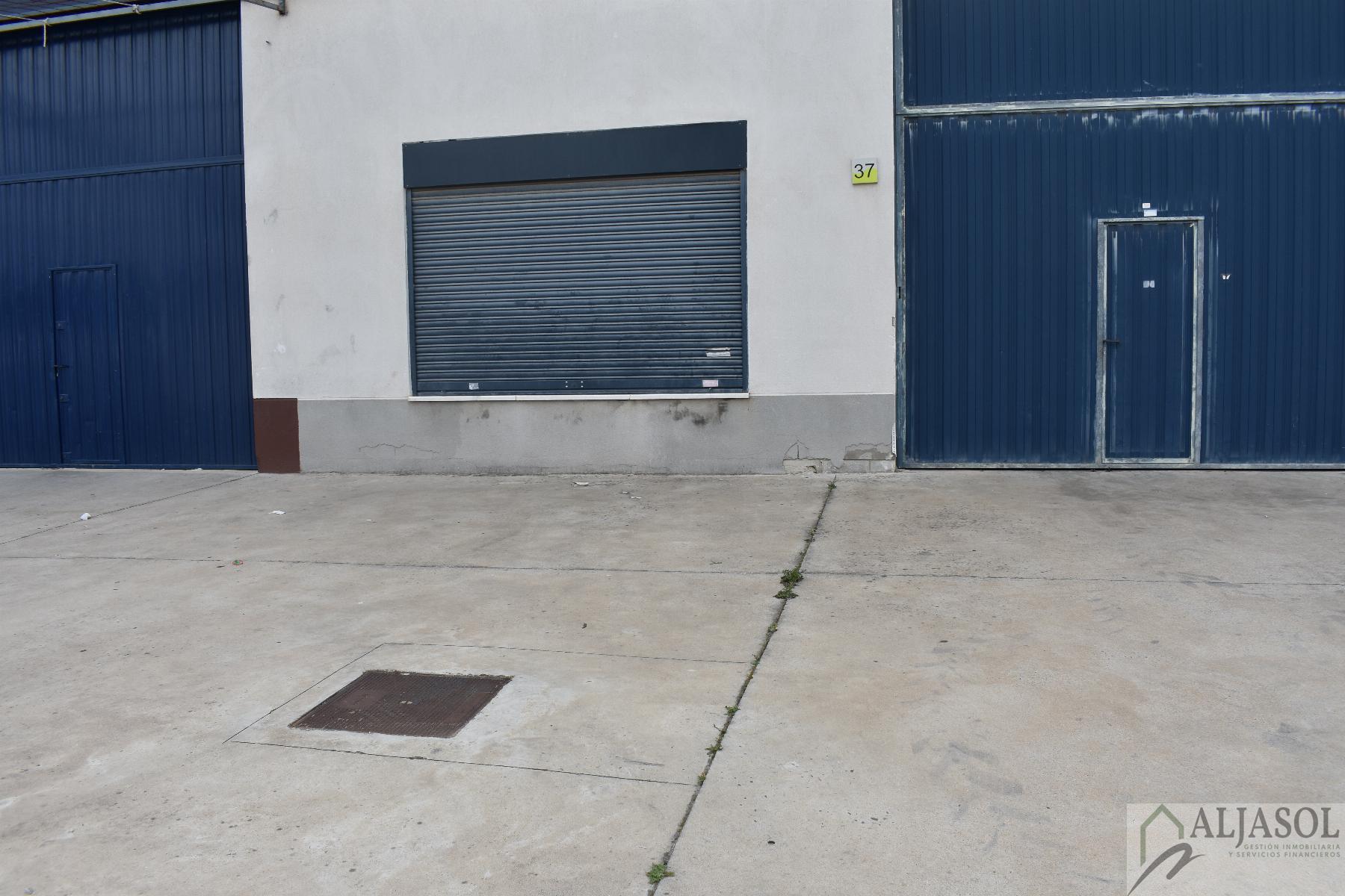 For sale of warehouse in Bollullos de la Mitación