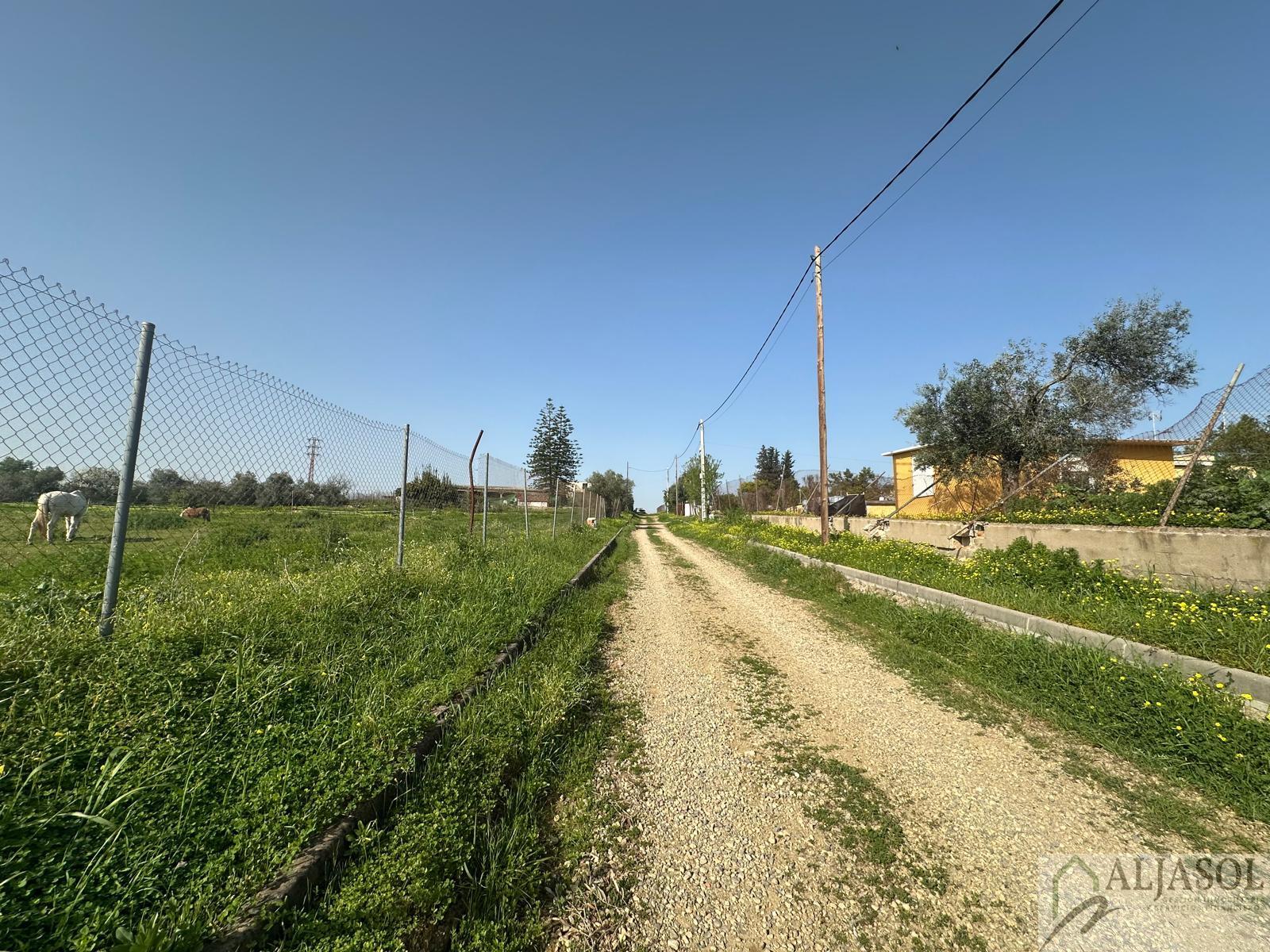 Venta de terreno en Almensilla