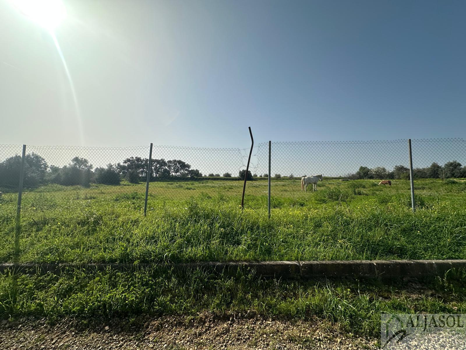 Venta de terreno en Almensilla