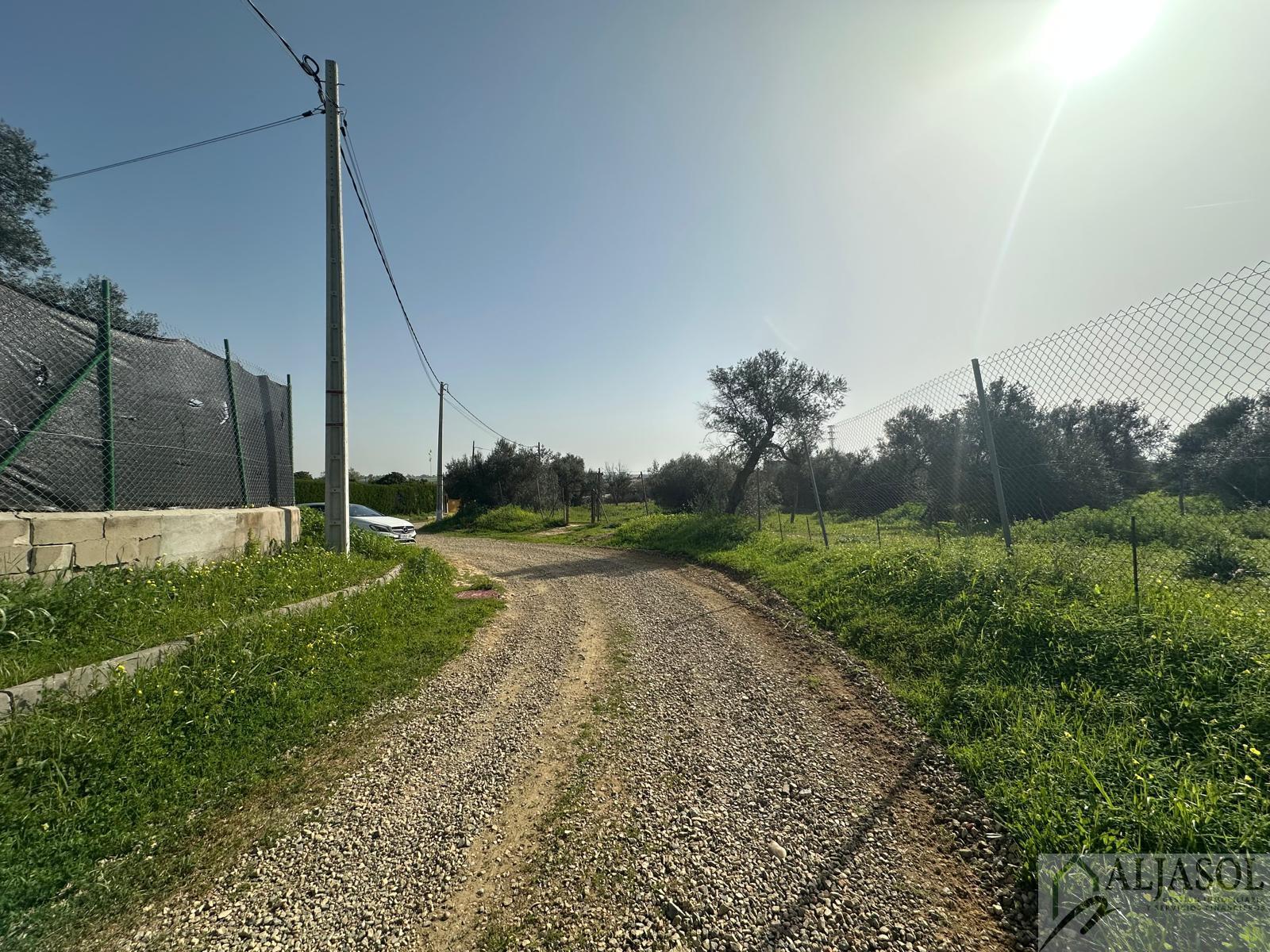 Venta de terreno en Almensilla