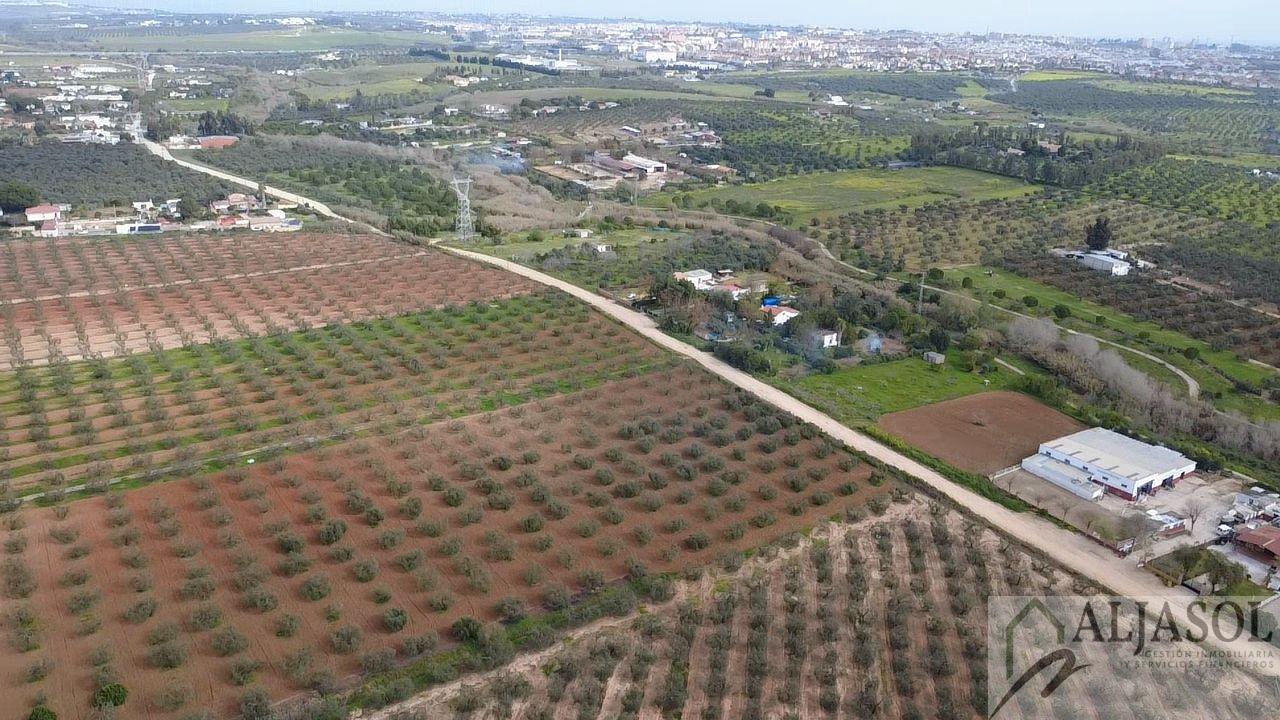Venta de finca rústica en Bollullos de la Mitación