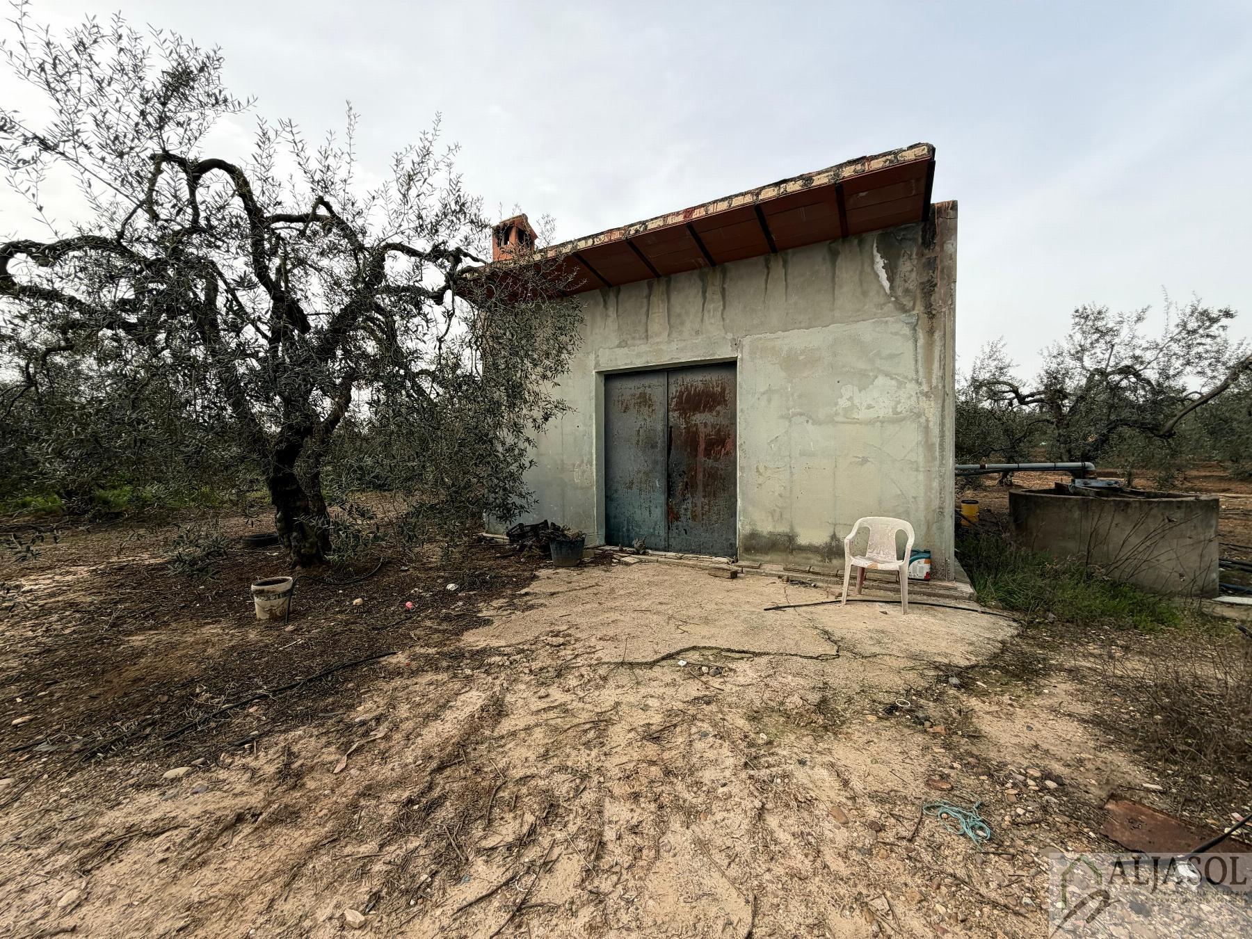 Venta de finca rústica en Bollullos de la Mitación