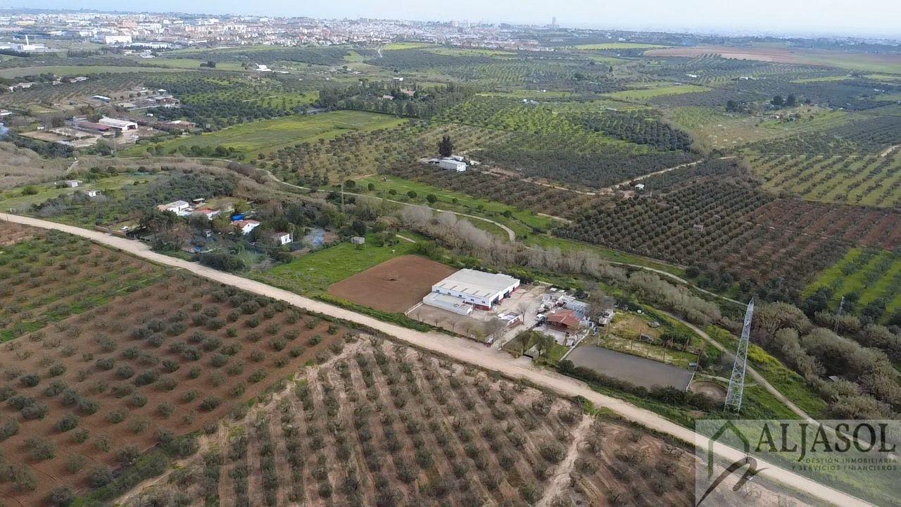 Venta de finca rústica en Bollullos de la Mitación
