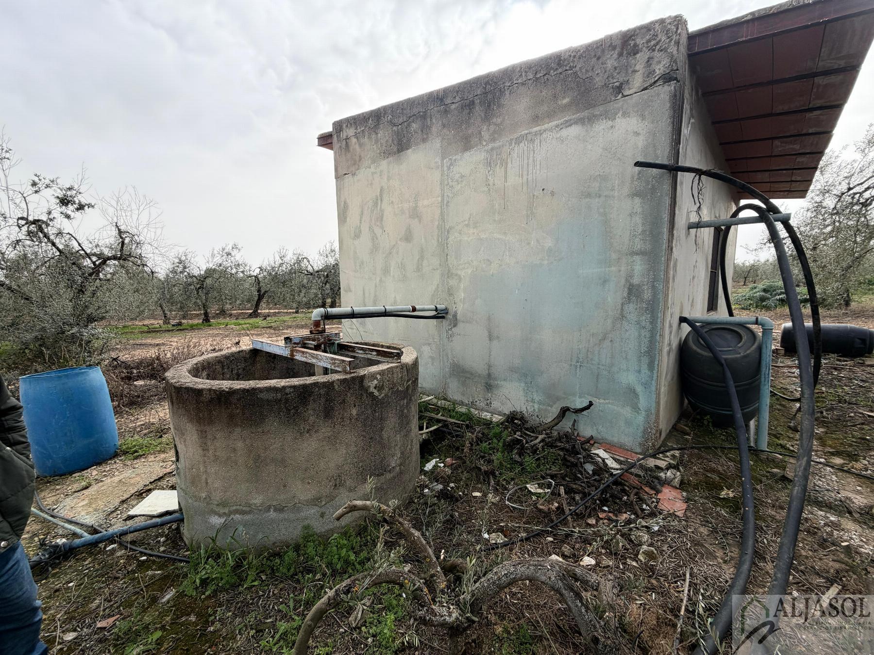 Venta de finca rústica en Bollullos de la Mitación