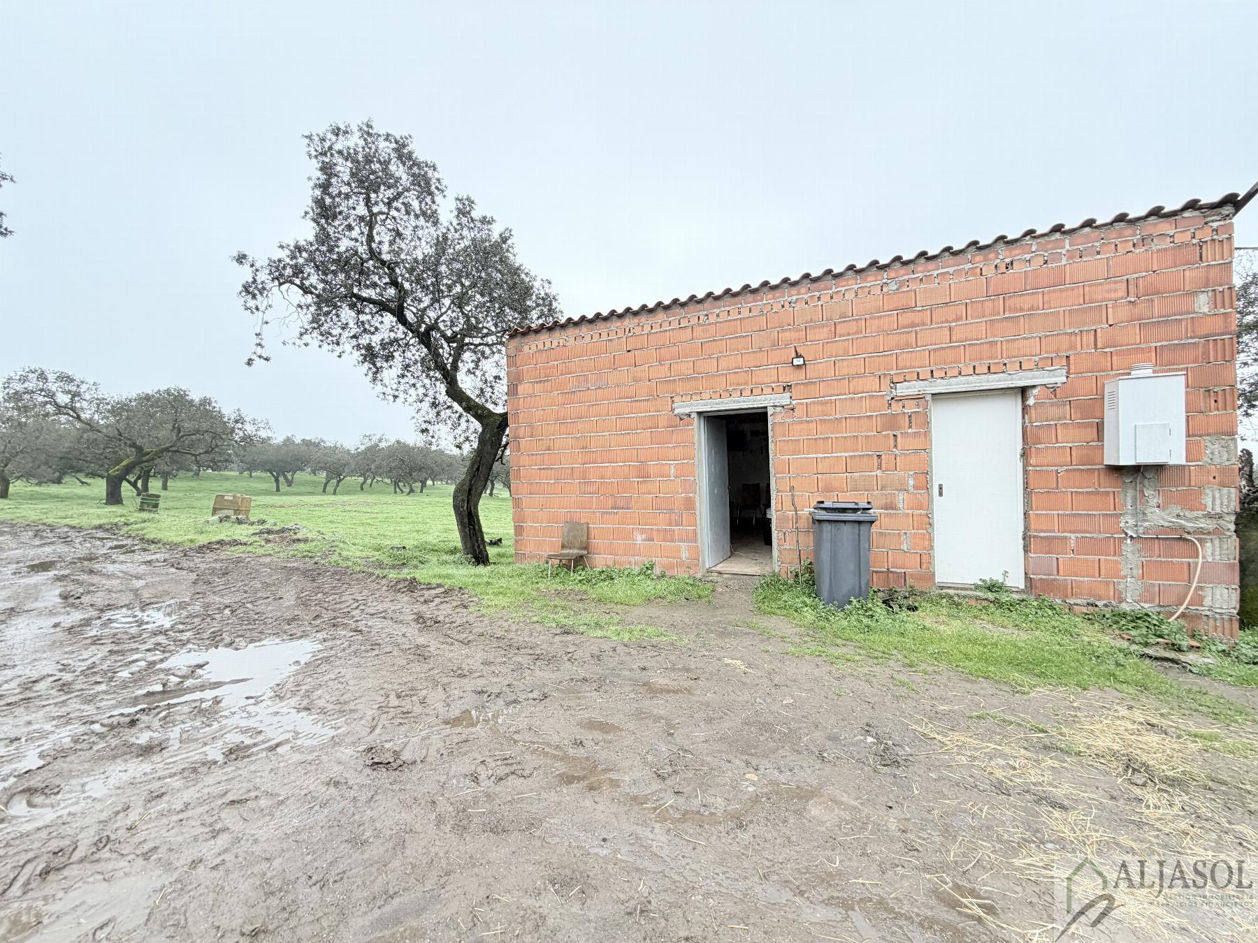 Venta de finca rústica en Fuentes de León
