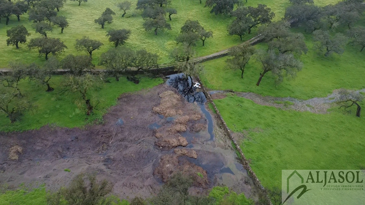 Venta de finca rústica en Fuentes de León