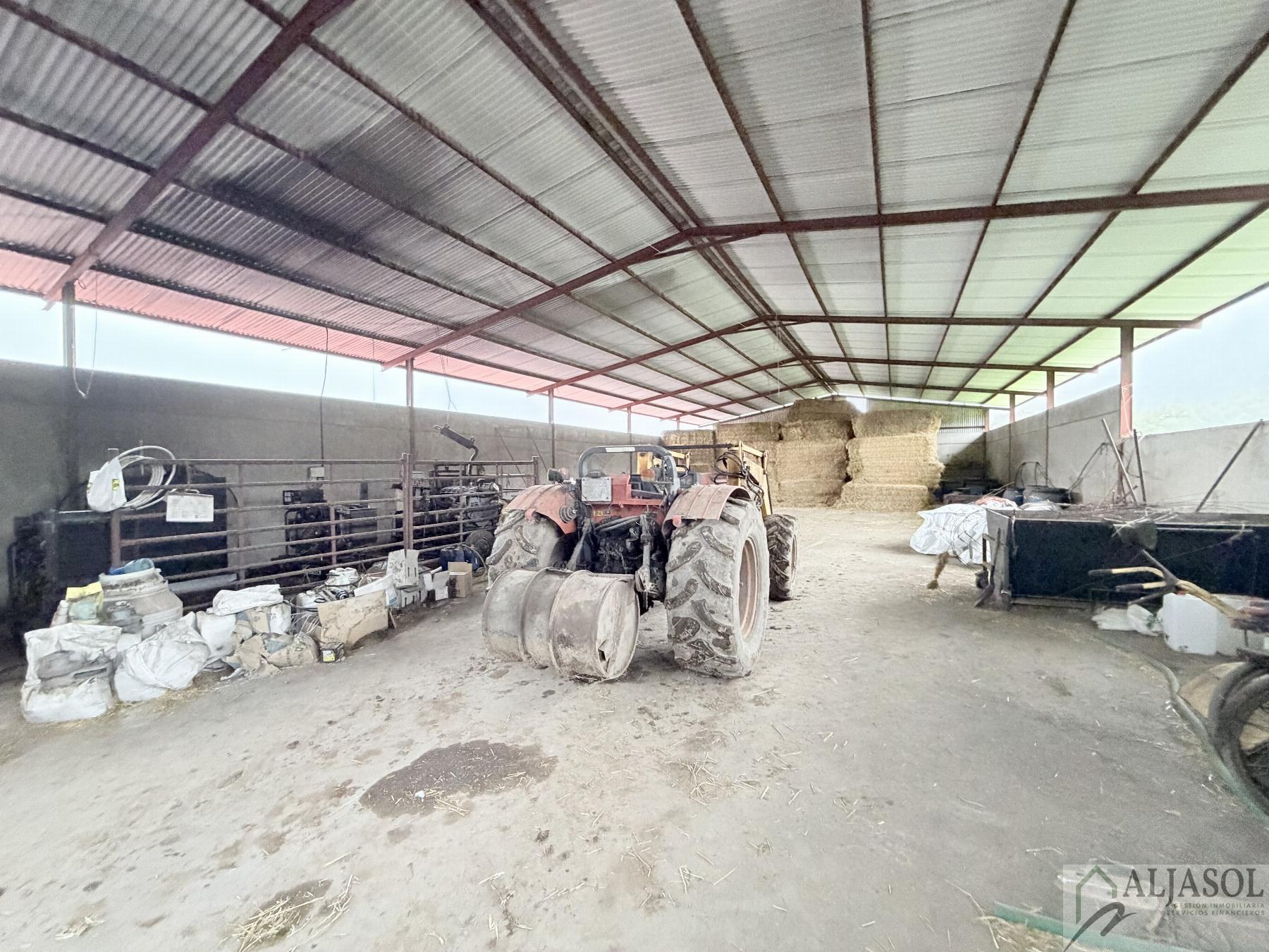 Venta de finca rústica en Fuentes de León