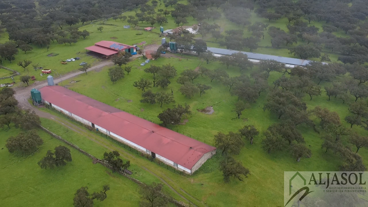 Venta de finca rústica en Fuentes de León