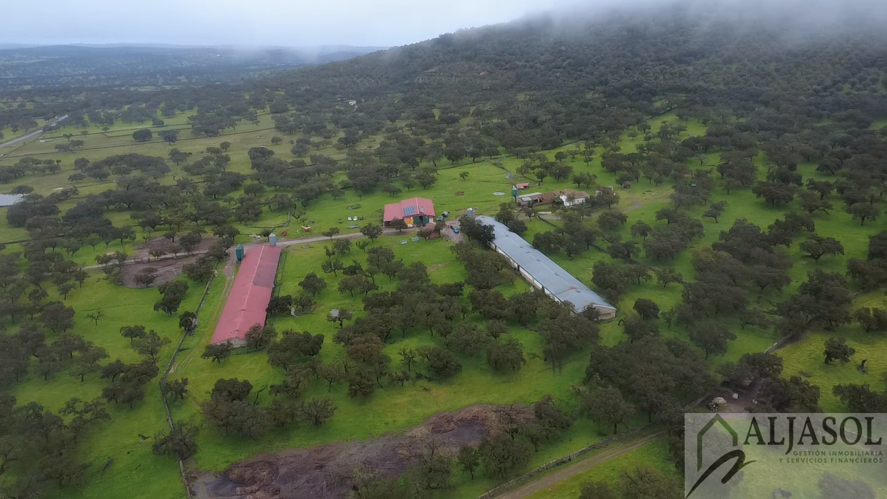 Venta de finca rústica en Fuentes de León