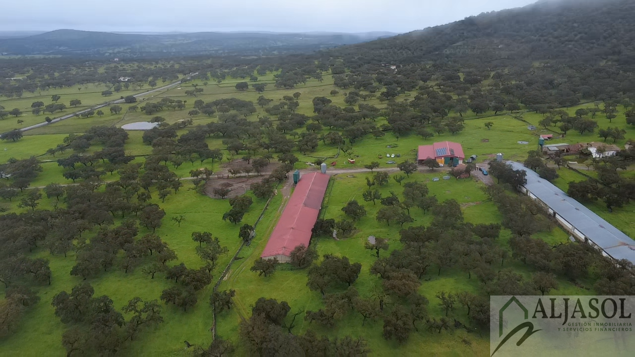 Venta de finca rústica en Fuentes de León