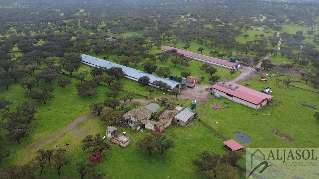 Venta de finca rústica en Fuentes de León