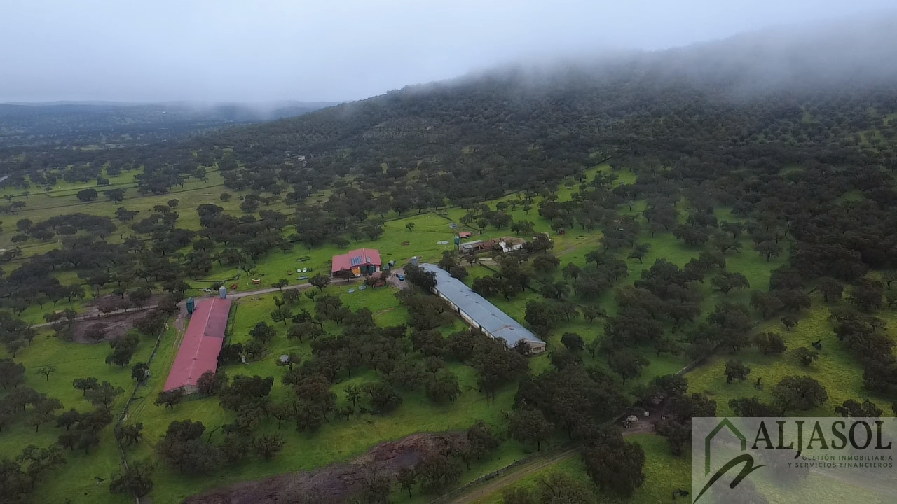 Venta de finca rústica en Fuentes de León