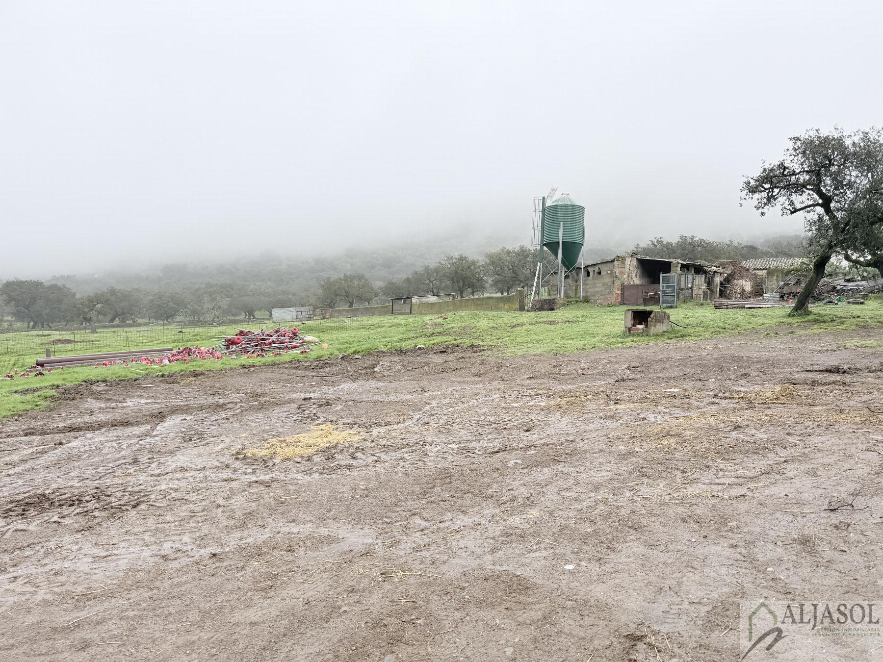 Venta de finca rústica en Fuentes de León