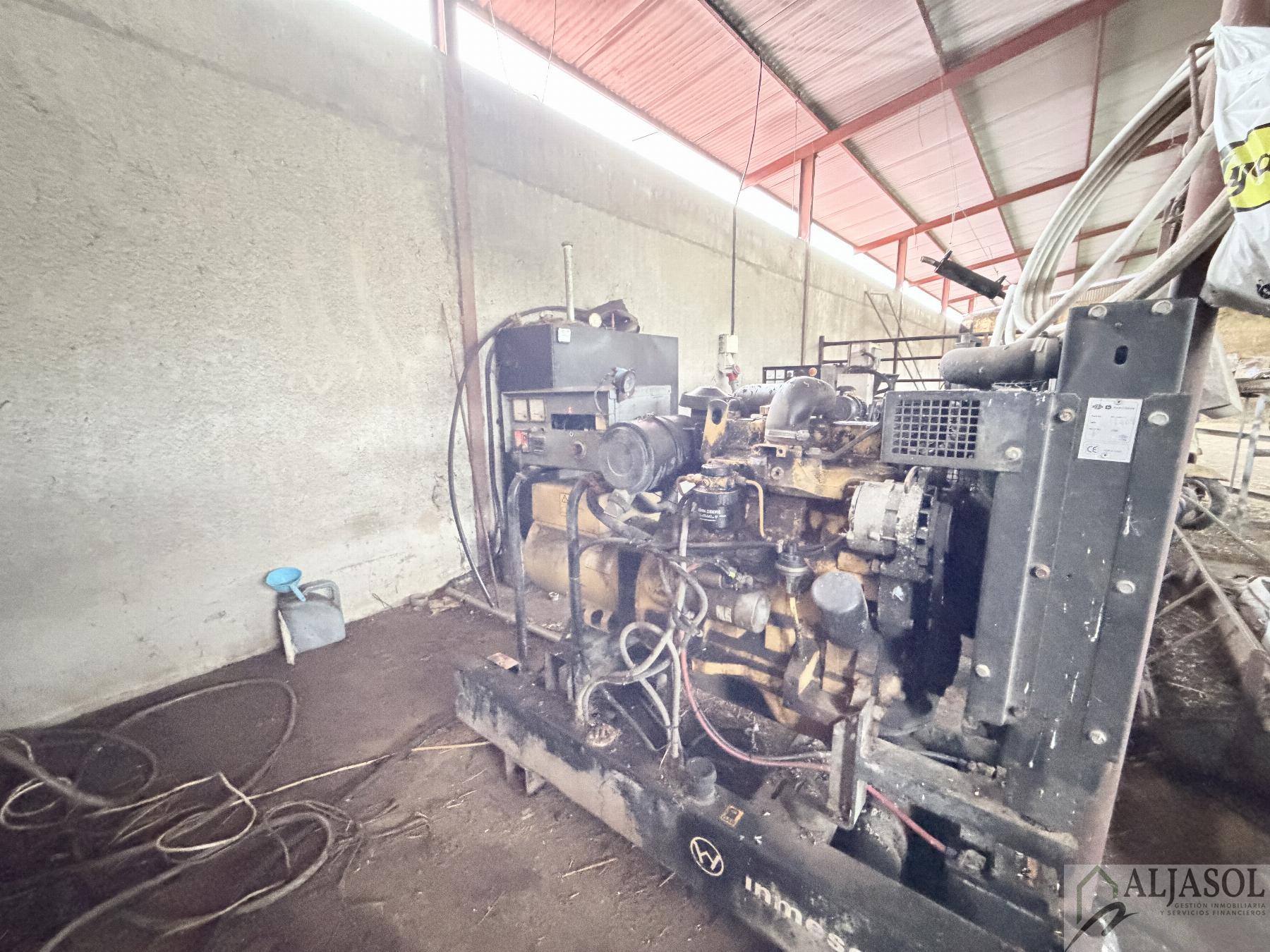 Venta de finca rústica en Fuentes de León