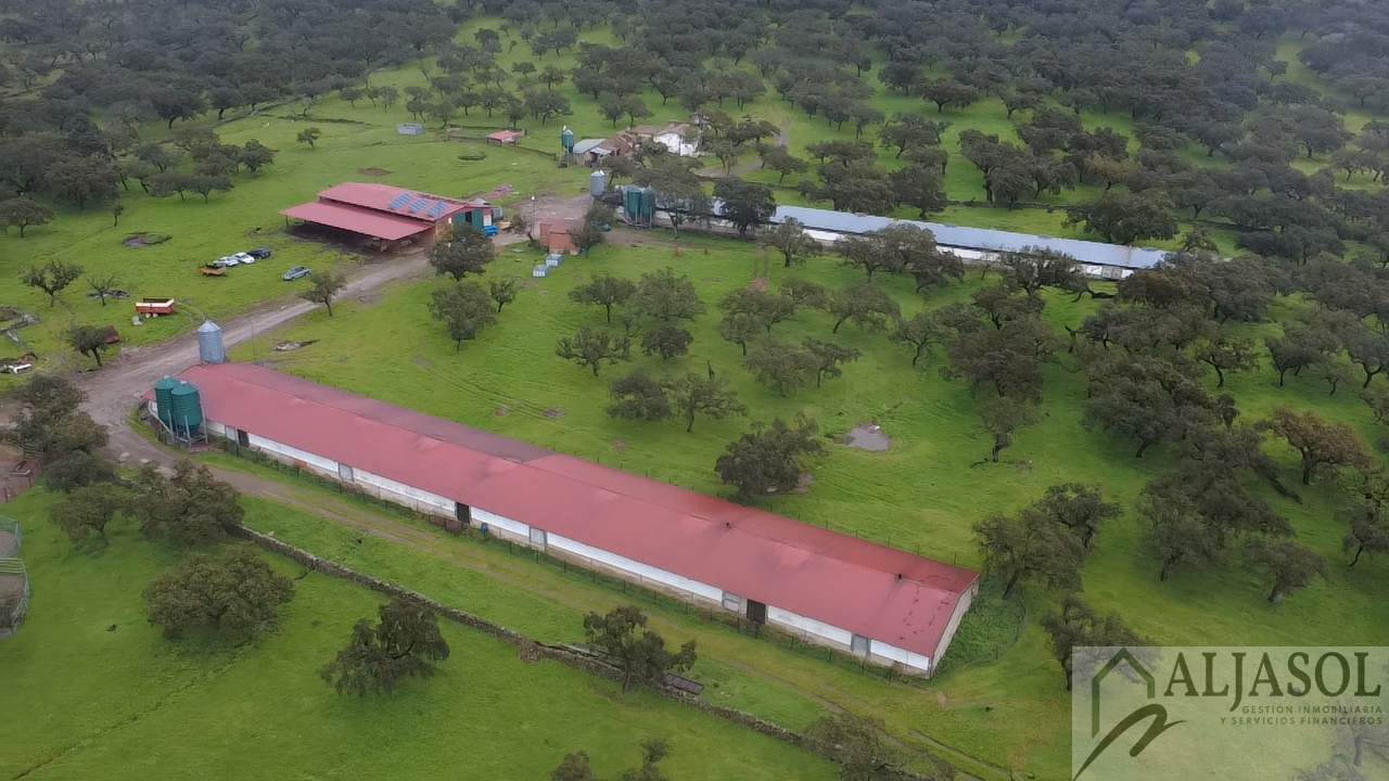 Venta de finca rústica en Fuentes de León
