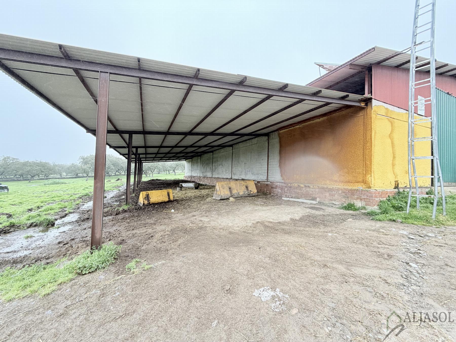 Venta de finca rústica en Fuentes de León