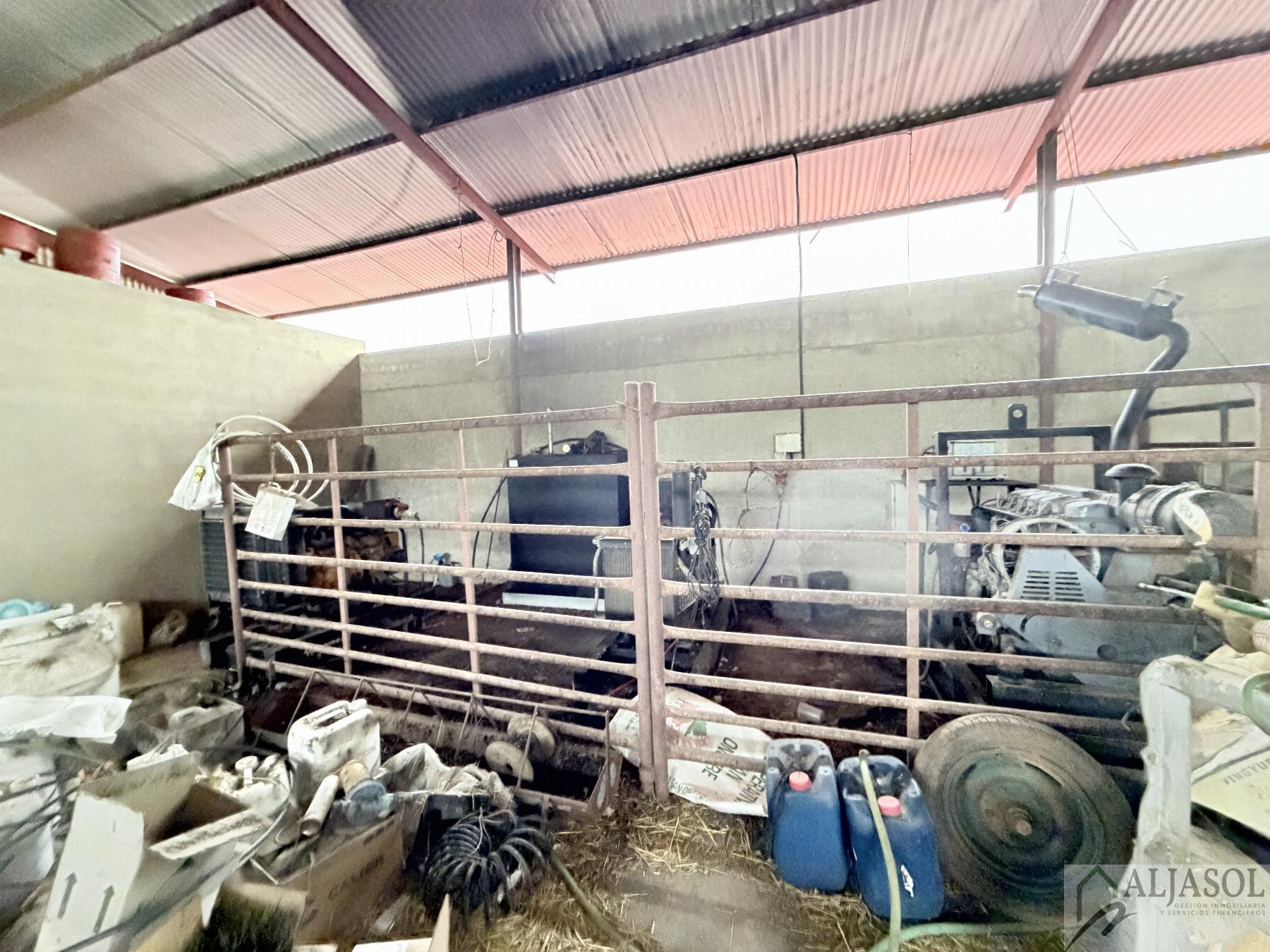 Venta de finca rústica en Fuentes de León