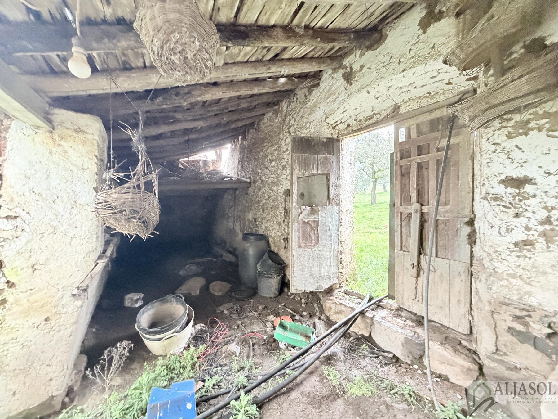 Venta de finca rústica en Fuentes de León