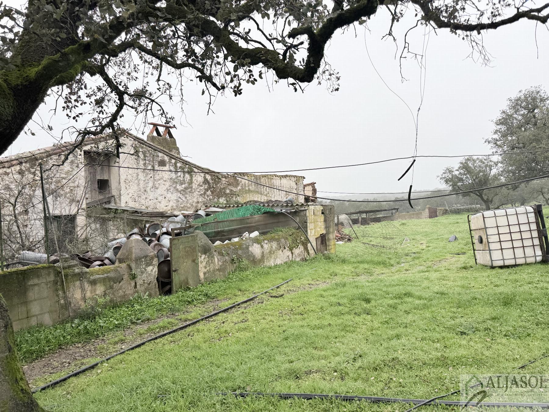 Venta de finca rústica en Fuentes de León
