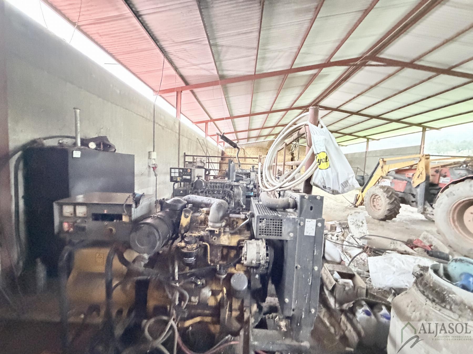 Venta de finca rústica en Fuentes de León