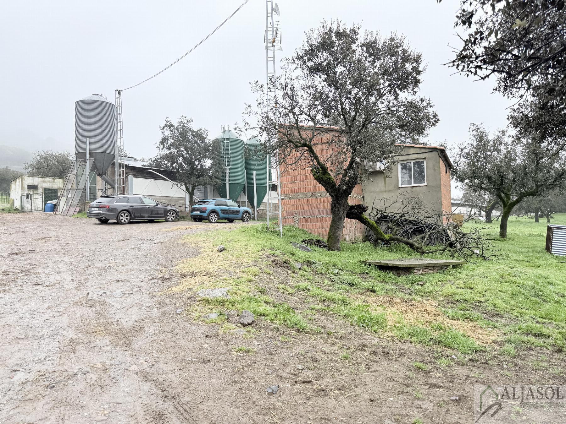 Venta de finca rústica en Fuentes de León