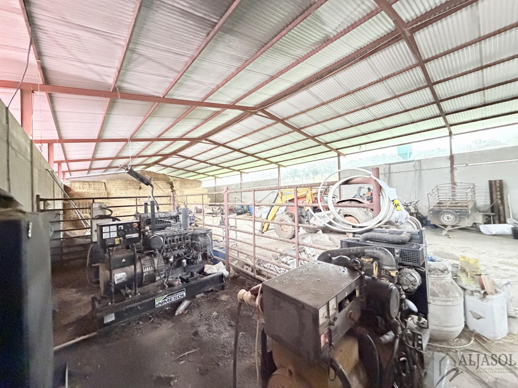 Venta de finca rústica en Fuentes de León