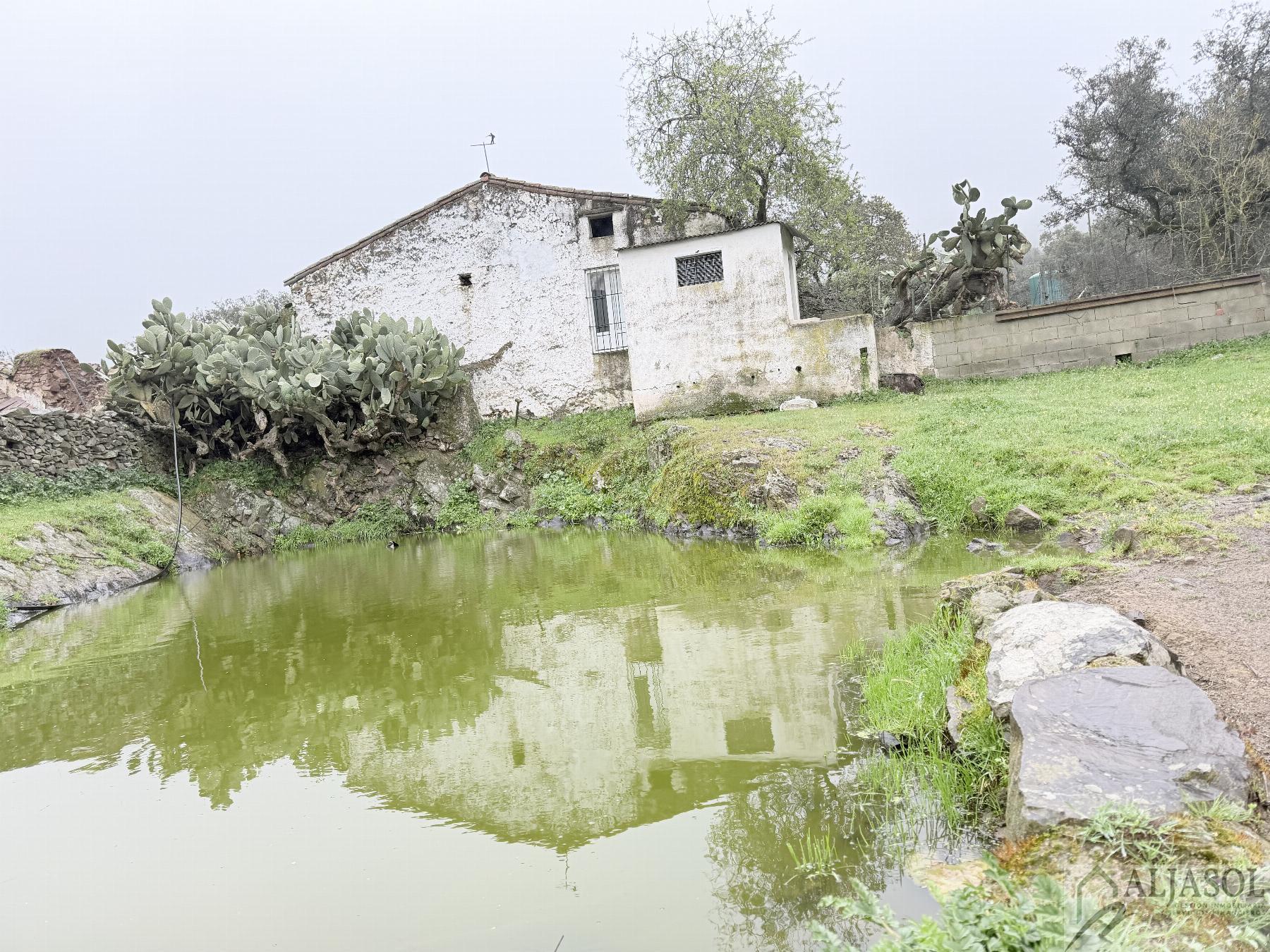 Venta de finca rústica en Fuentes de León