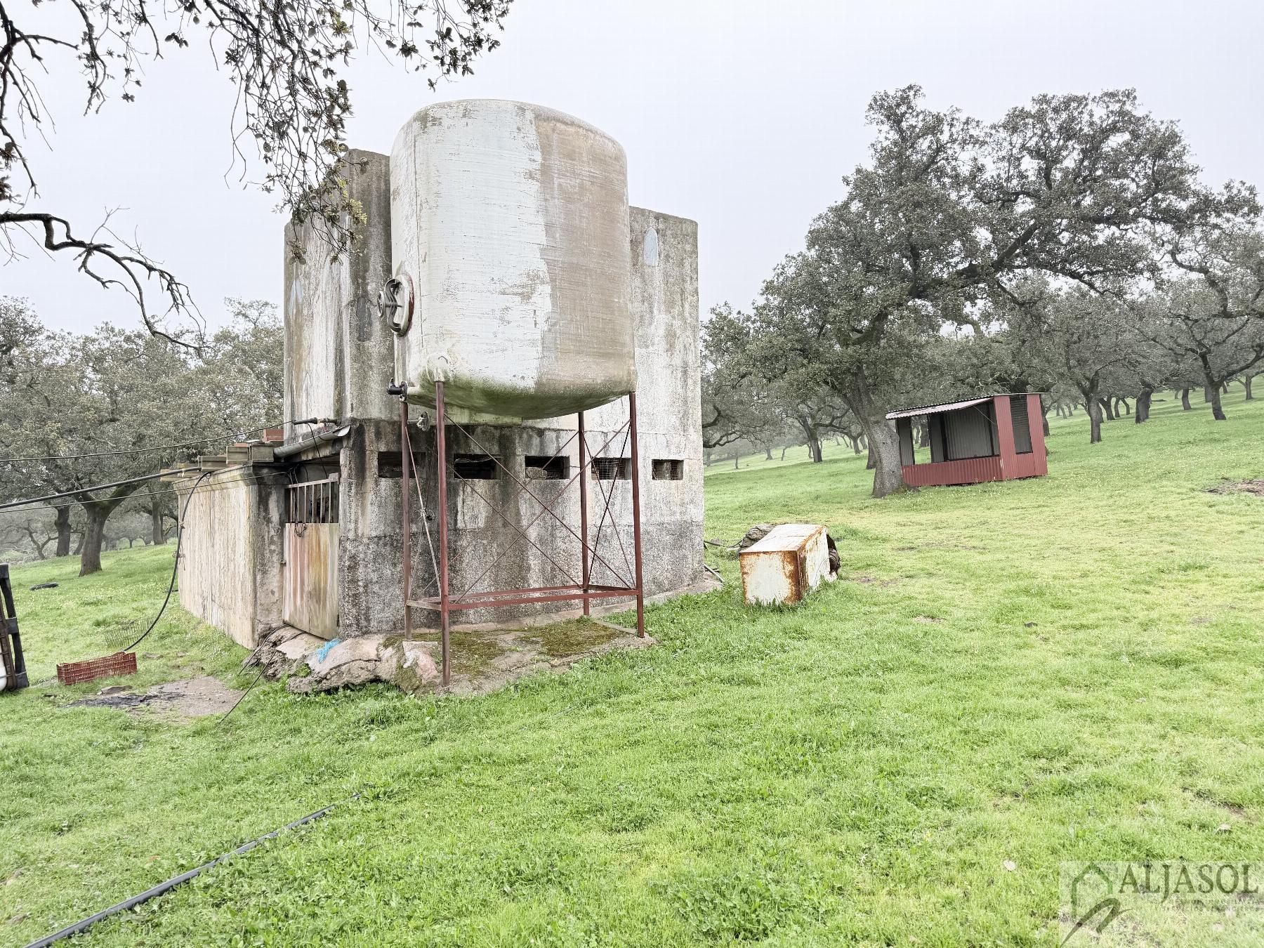 Venta de finca rústica en Fuentes de León