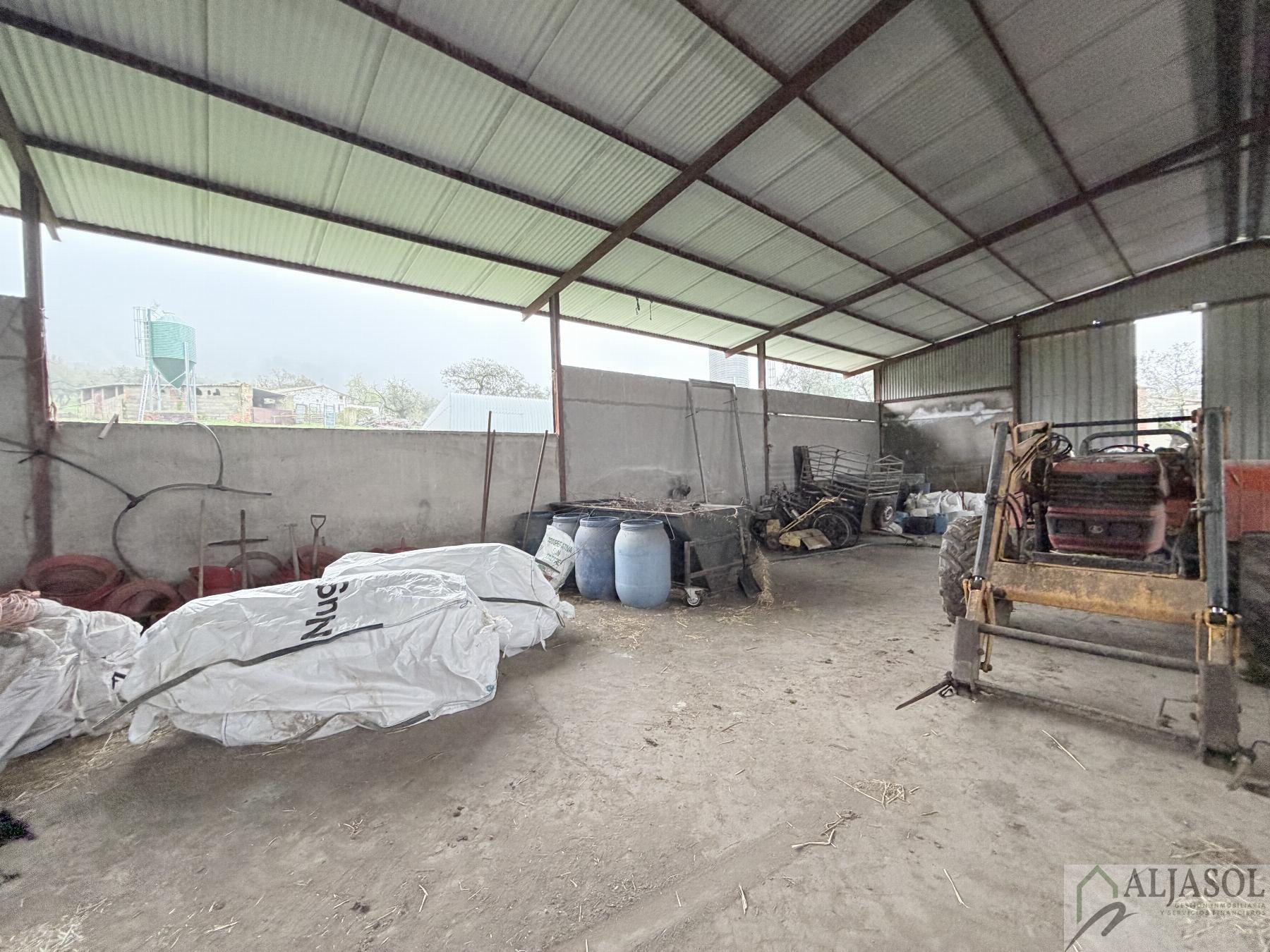 Venta de finca rústica en Fuentes de León