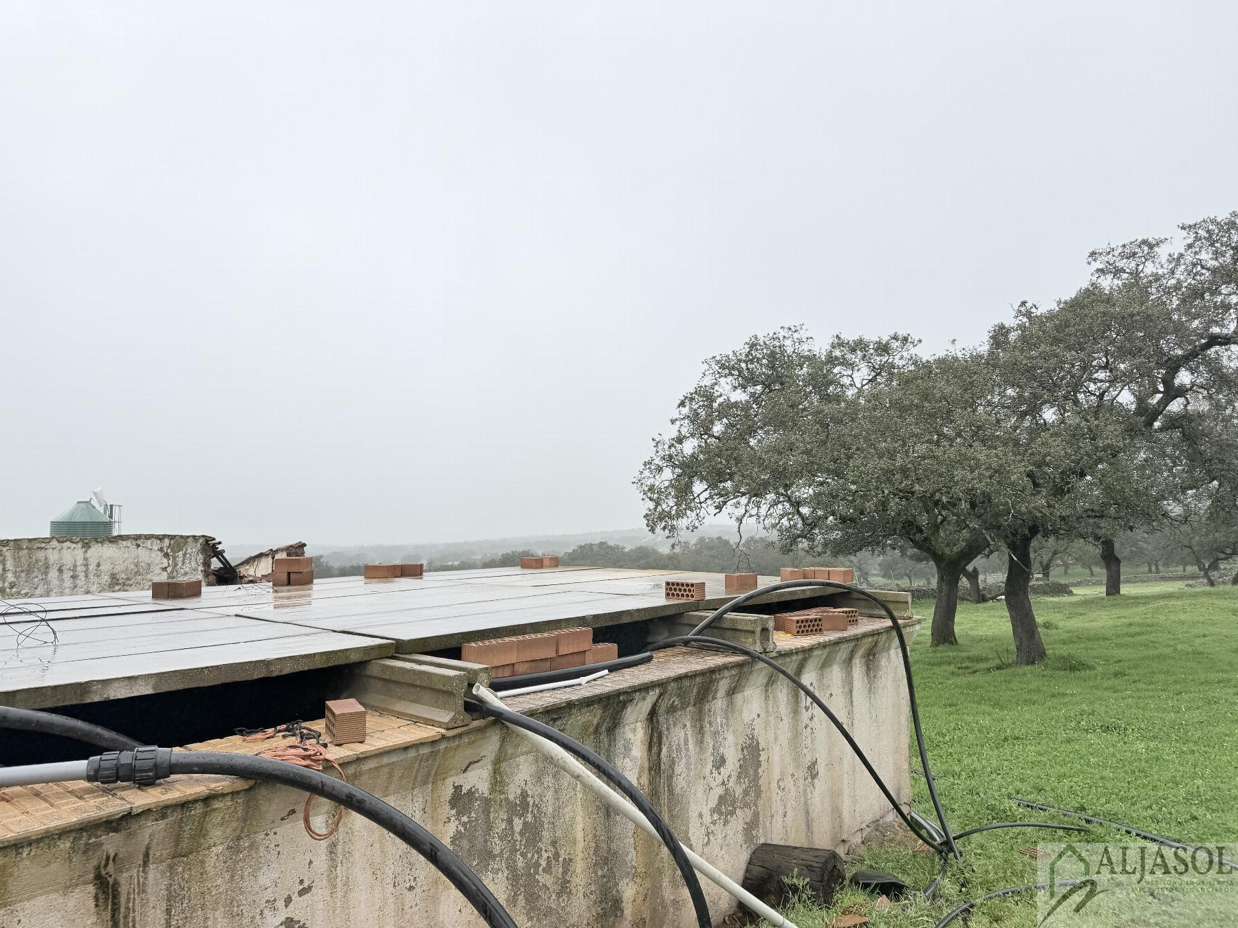 Venta de finca rústica en Fuentes de León