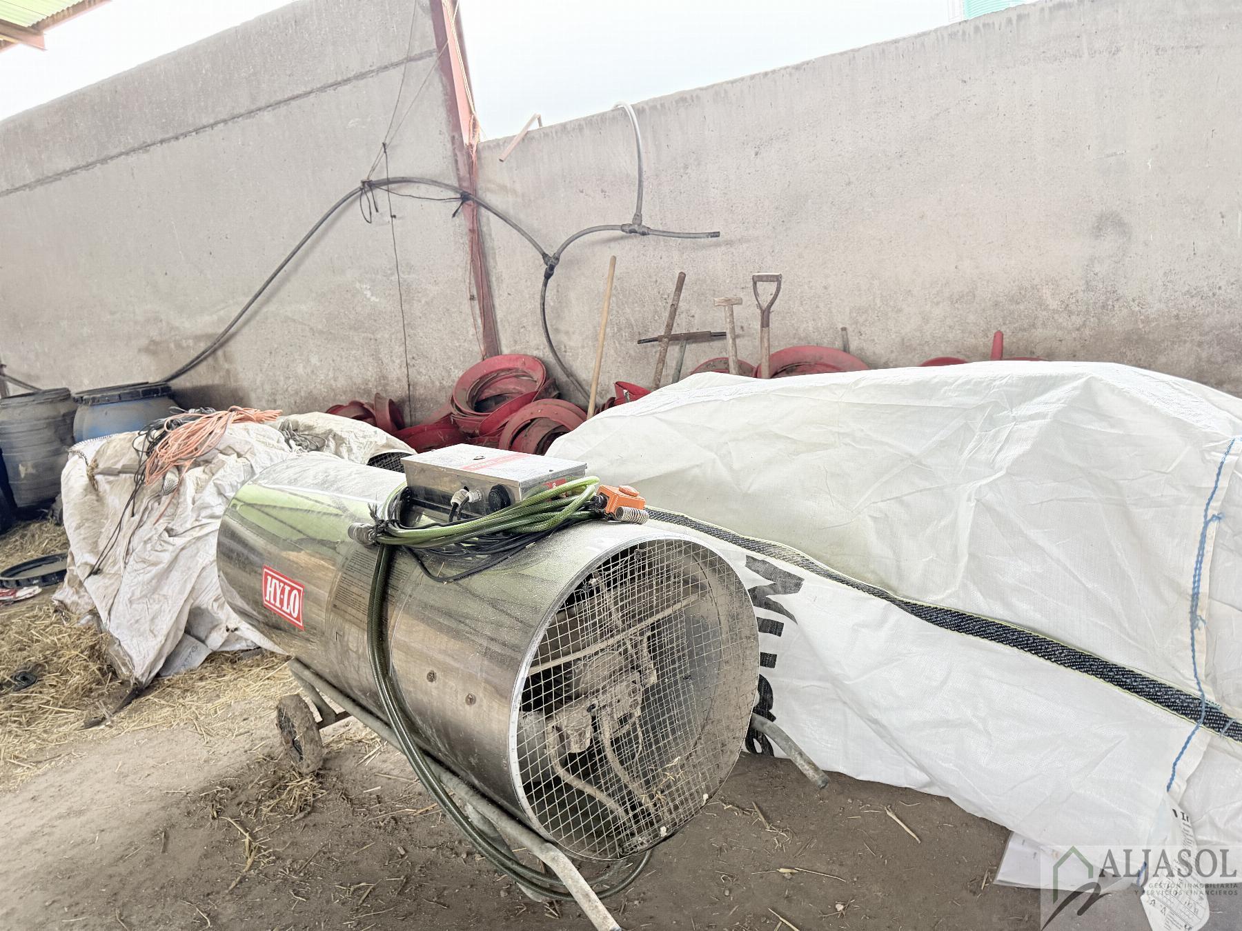 Venta de finca rústica en Fuentes de León