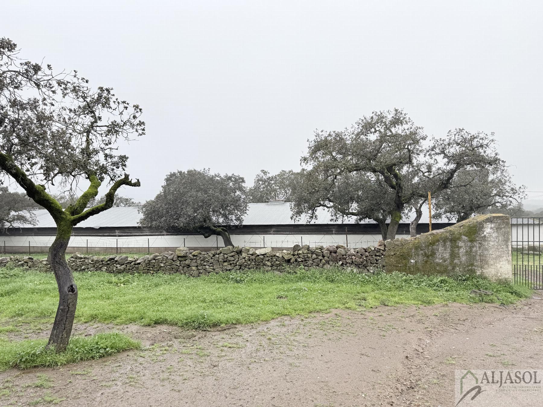 Venta de finca rústica en Fuentes de León