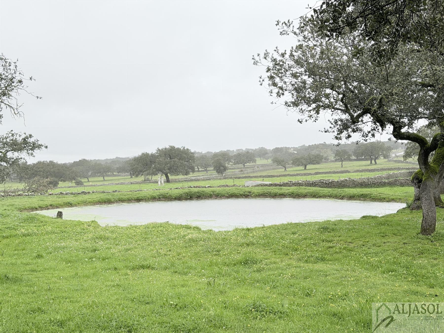 Venta de finca rústica en Fuentes de León