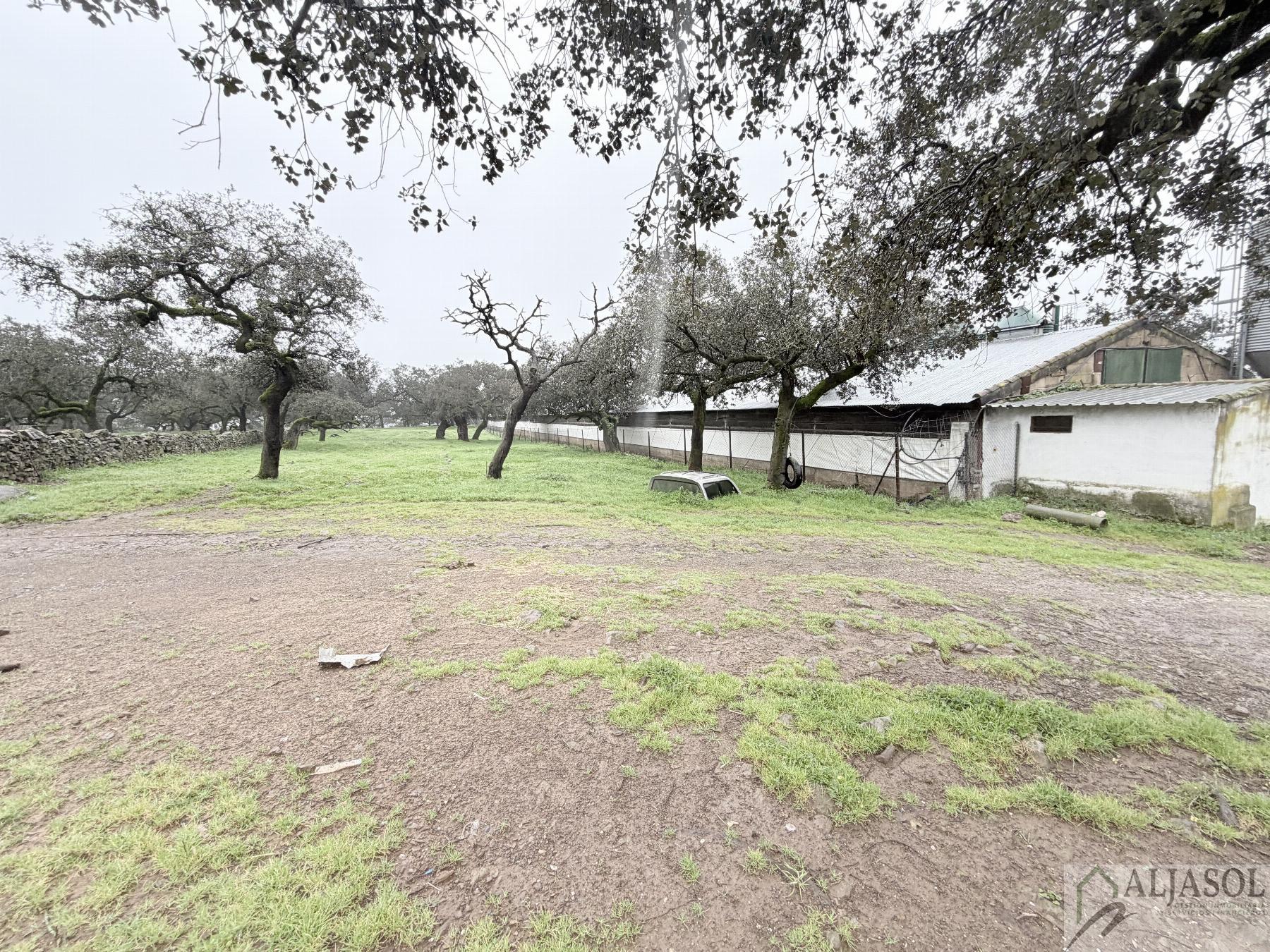 Venta de finca rústica en Fuentes de León