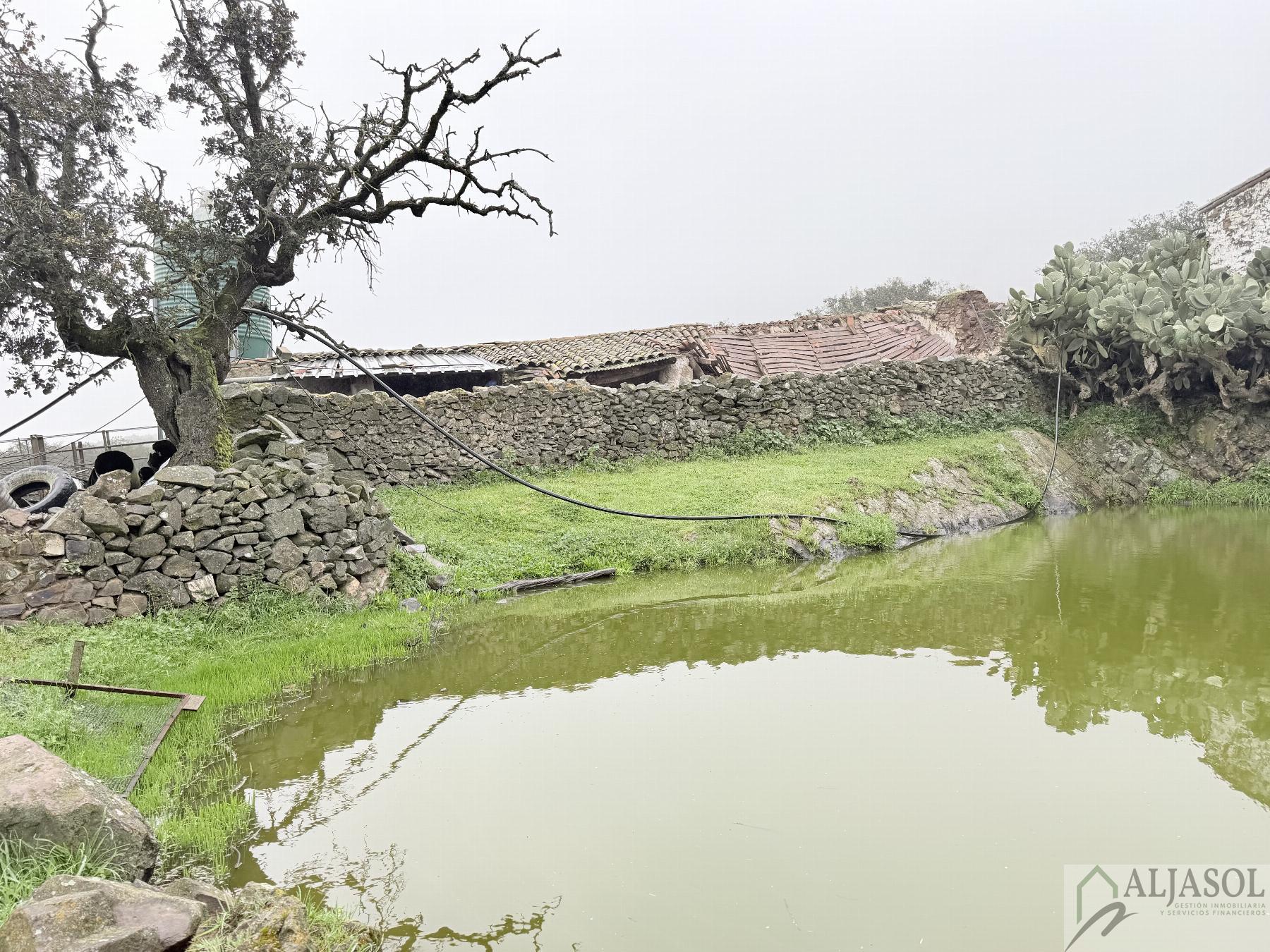 Venta de finca rústica en Fuentes de León