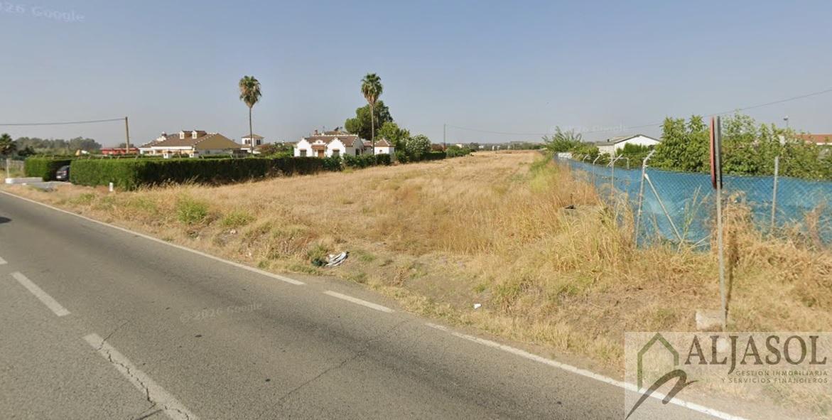 Venta de finca rústica en Guillena